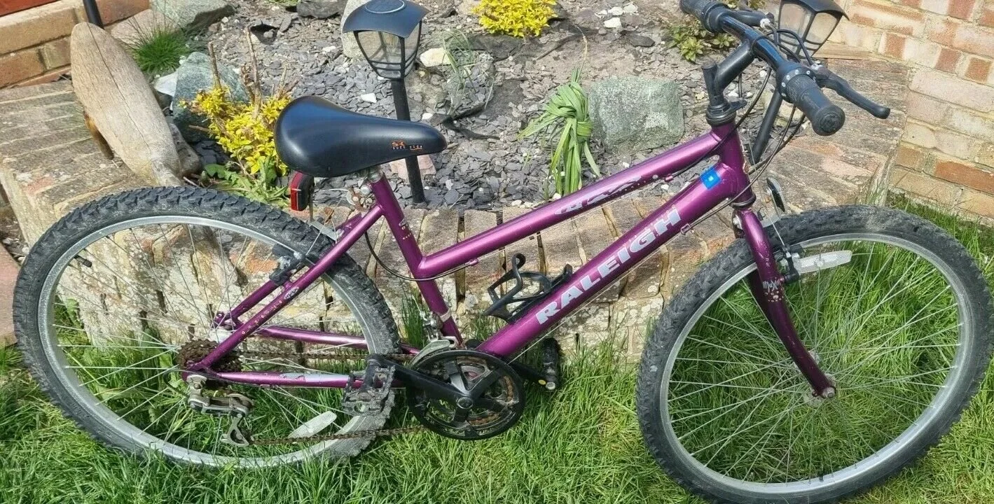 Raleigh Ogre Raleigh Max Ladies Bike Bike Store Raleigh Nova - Main Image