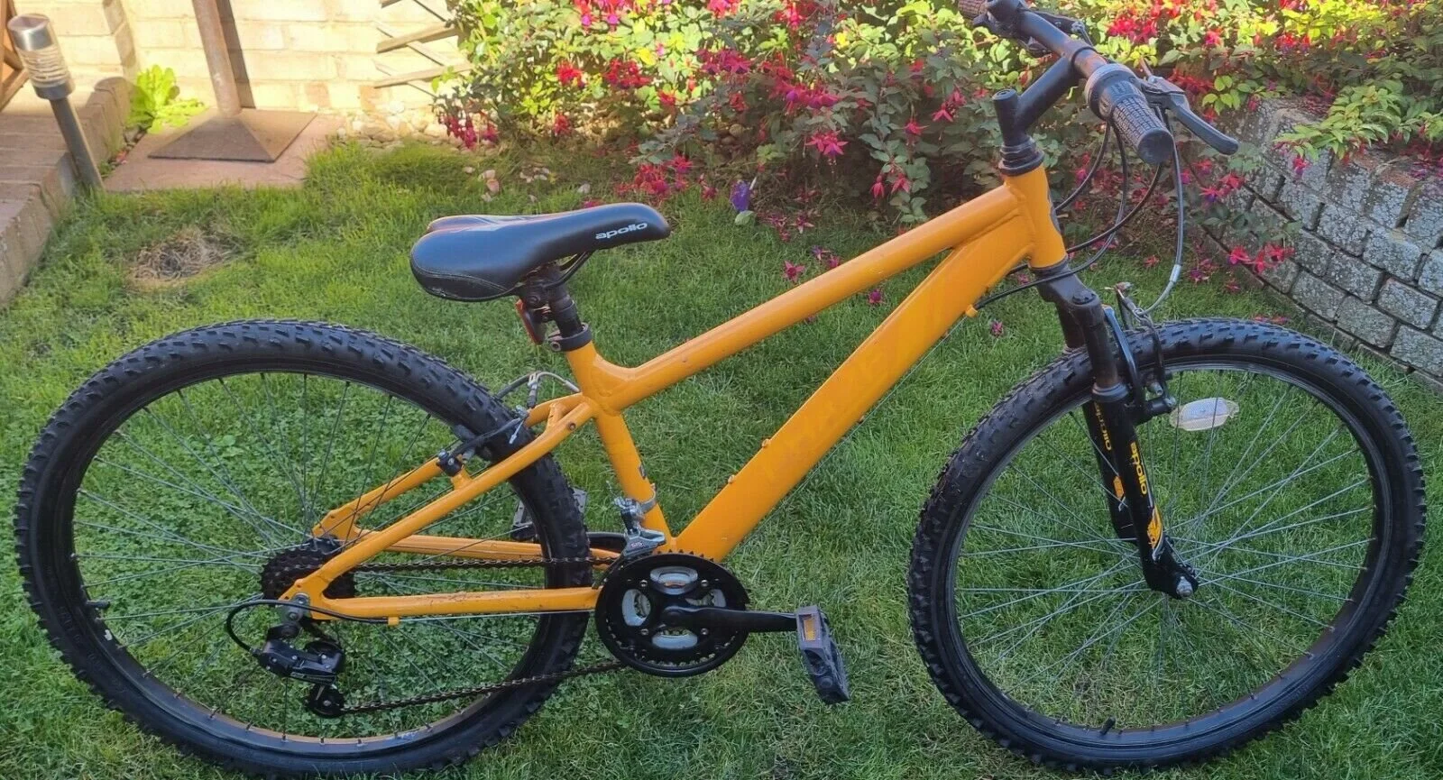 Discount trax 24 inch bike New Arrivals