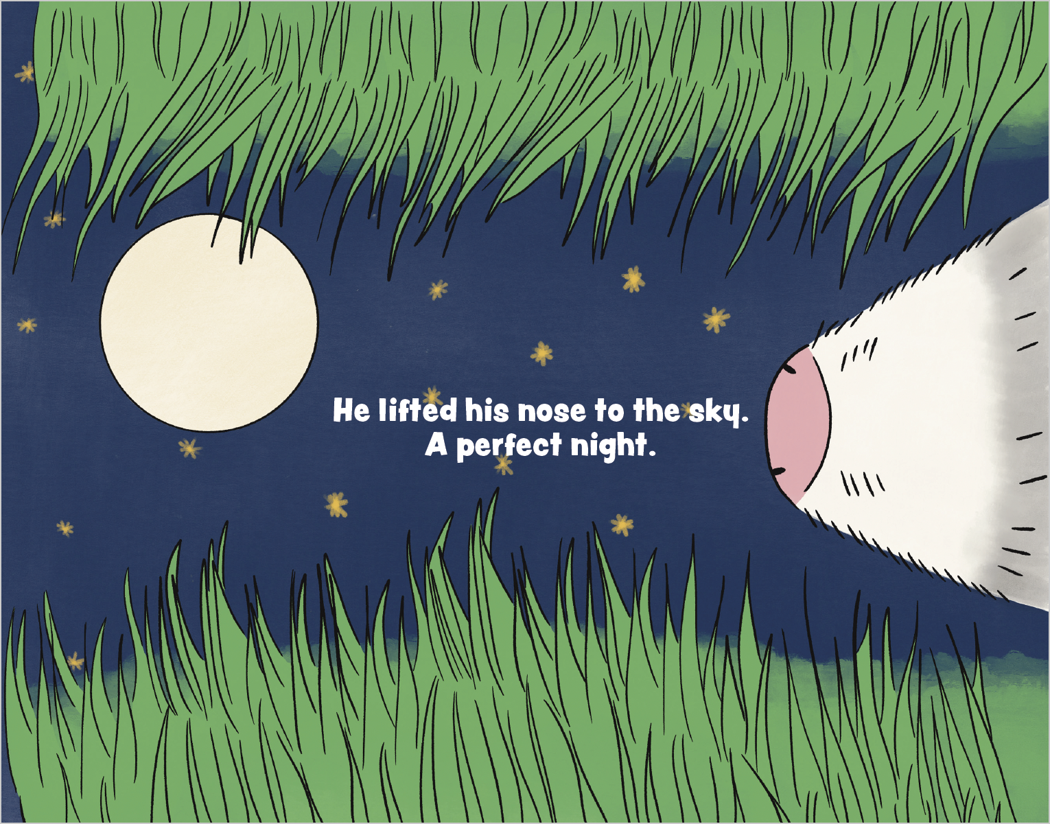 Screen Shot 2026-01-26 at 12.00.17 PM.png