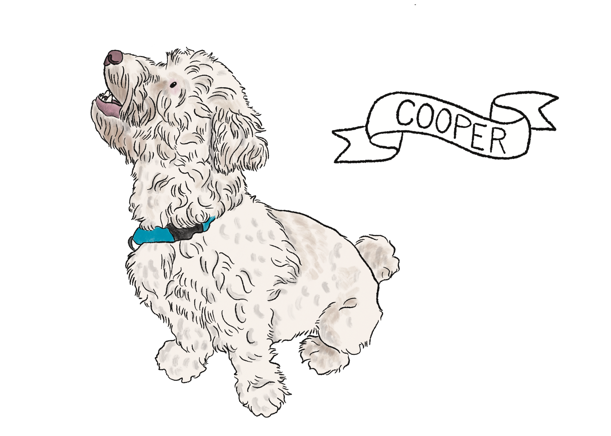 Cooper.png