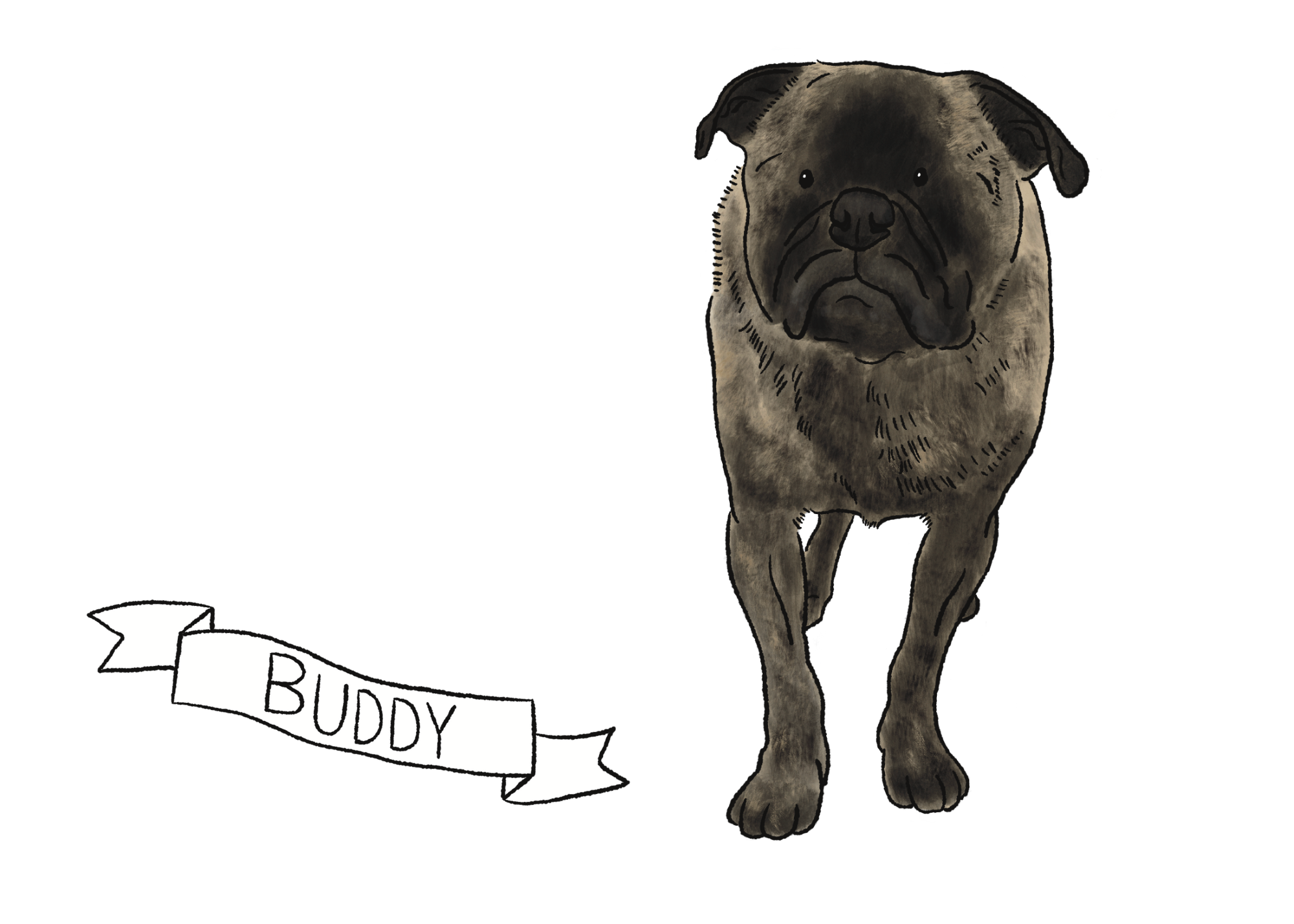 Buddy.png