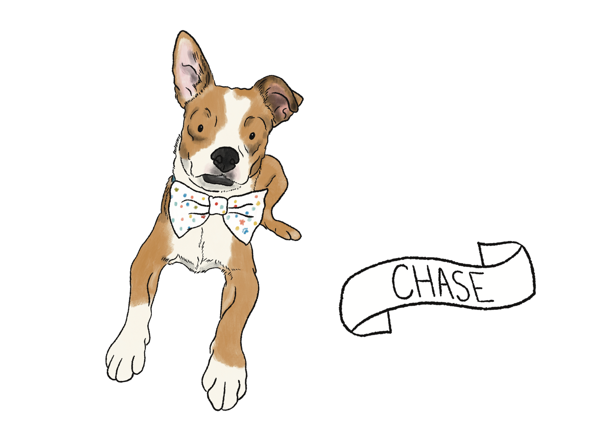 Chase.png