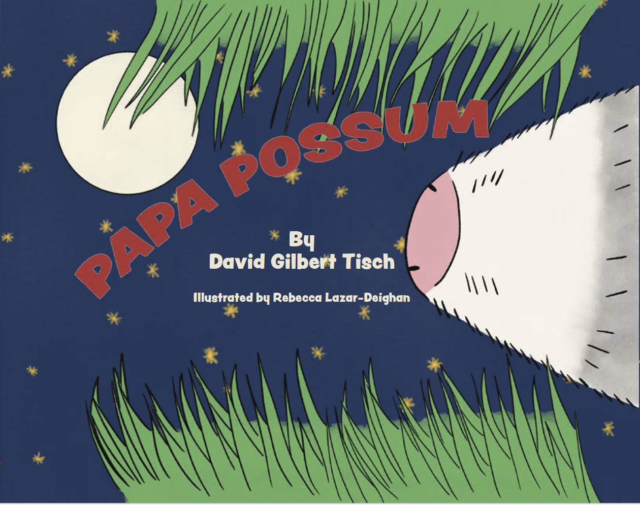 Papa Possum - A Children's Book
