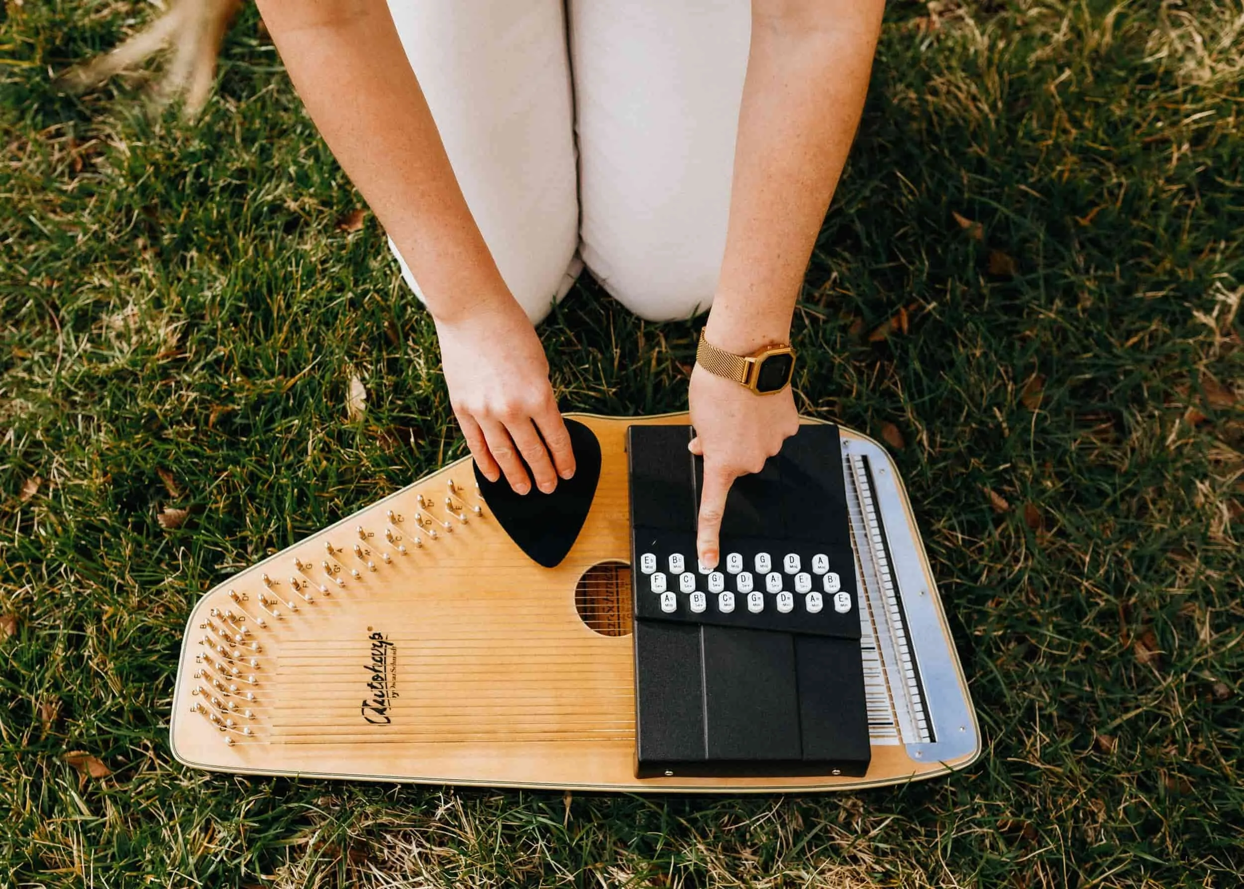 Person kneeling on grass, playing an autoharp—capturing a peaceful moment inspired by Nashville music therapy.