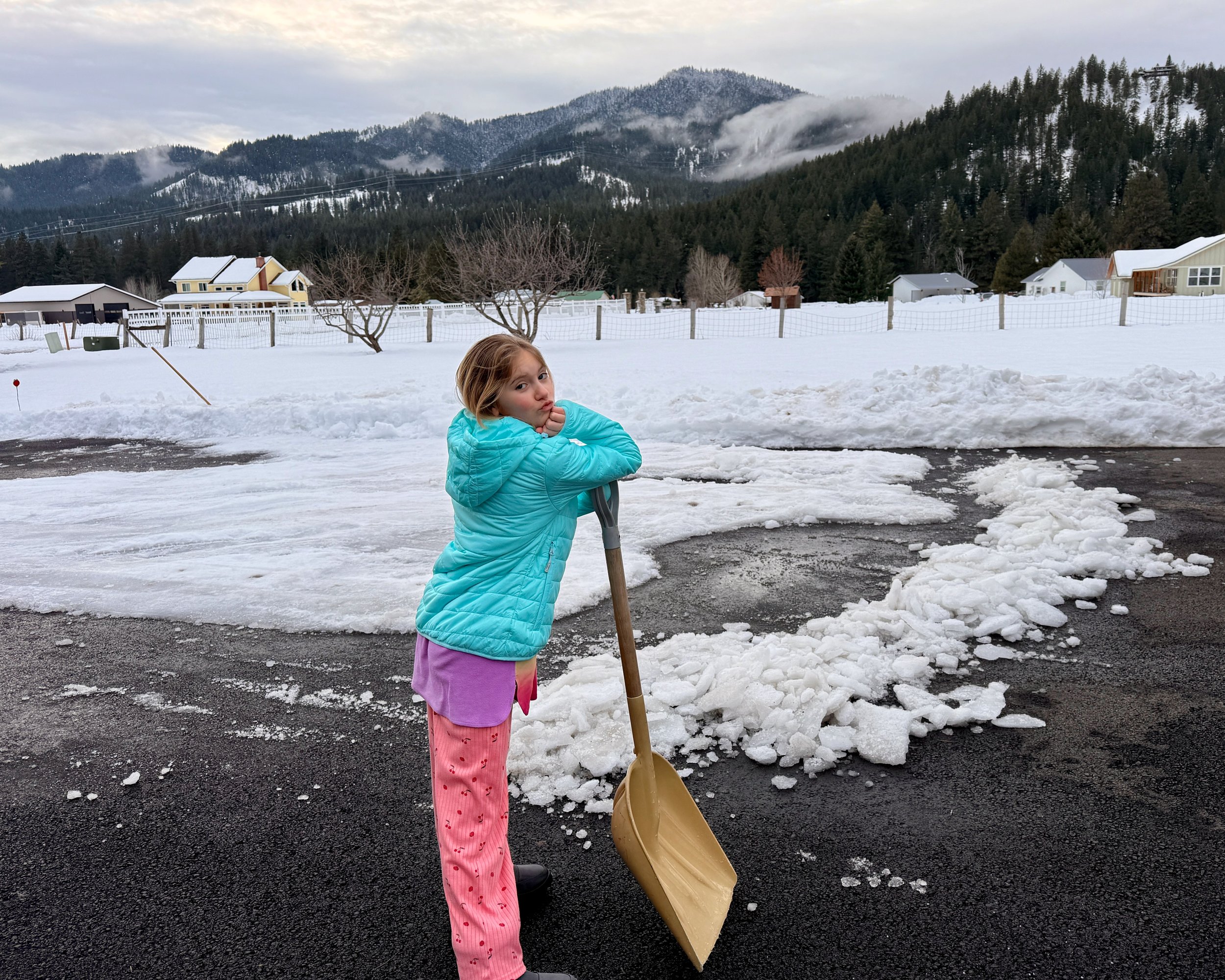 The Snow Shovel Tush-Push