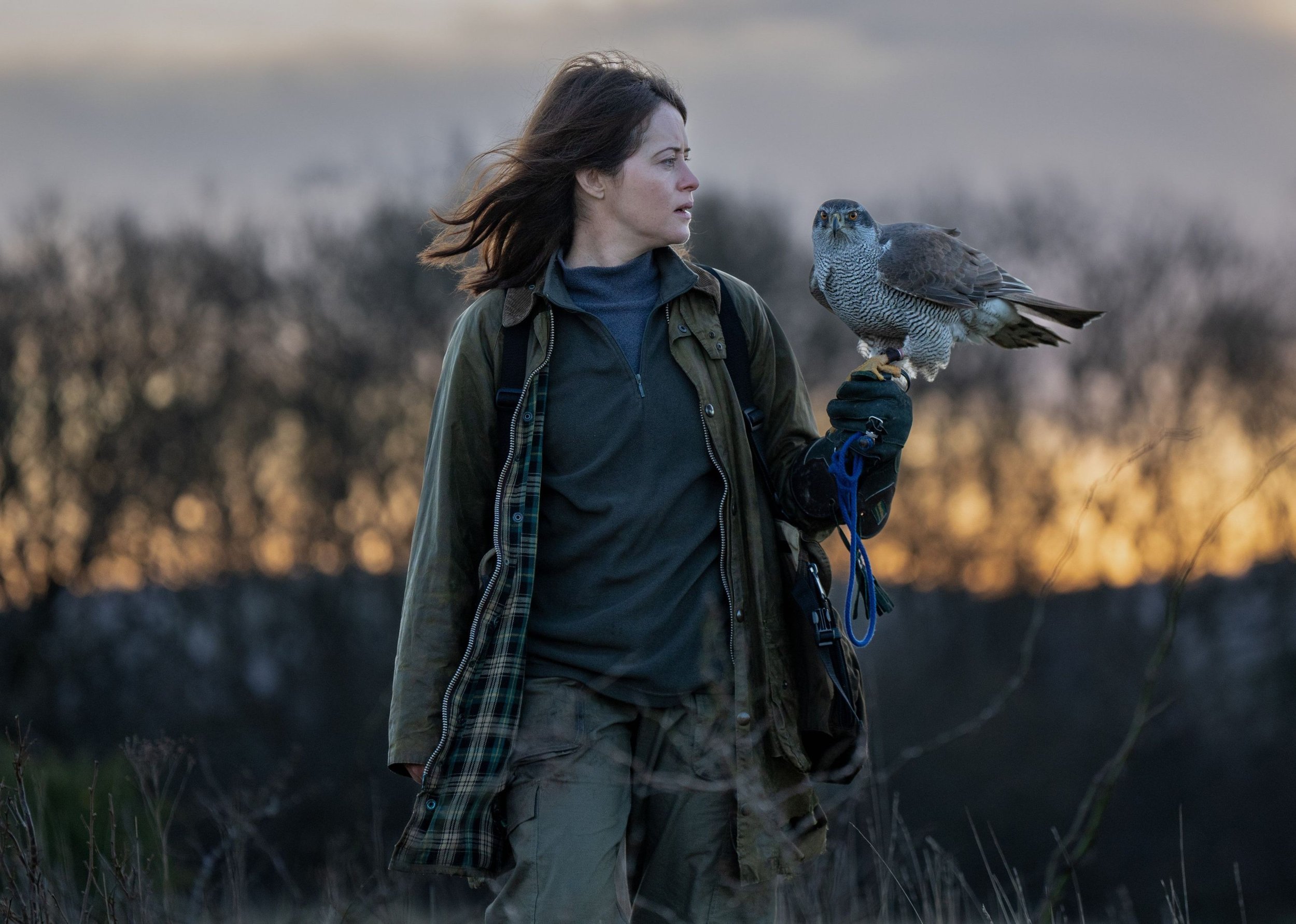 IR Interview: Claire Foy For “H Is For Hawk” [Roadside Attractions]
