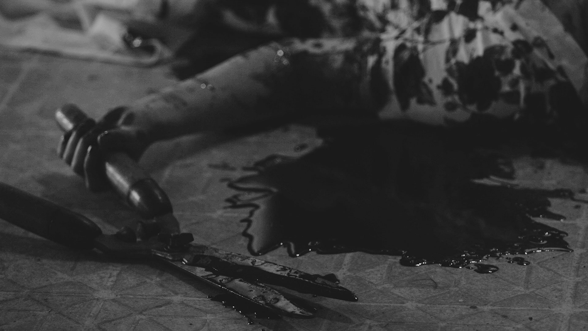 Fest Track On Sirk TV Film Interview: THE GIRL INSIDE THE PHOTOGRAPH [Dances With Films NY - New York, New York]