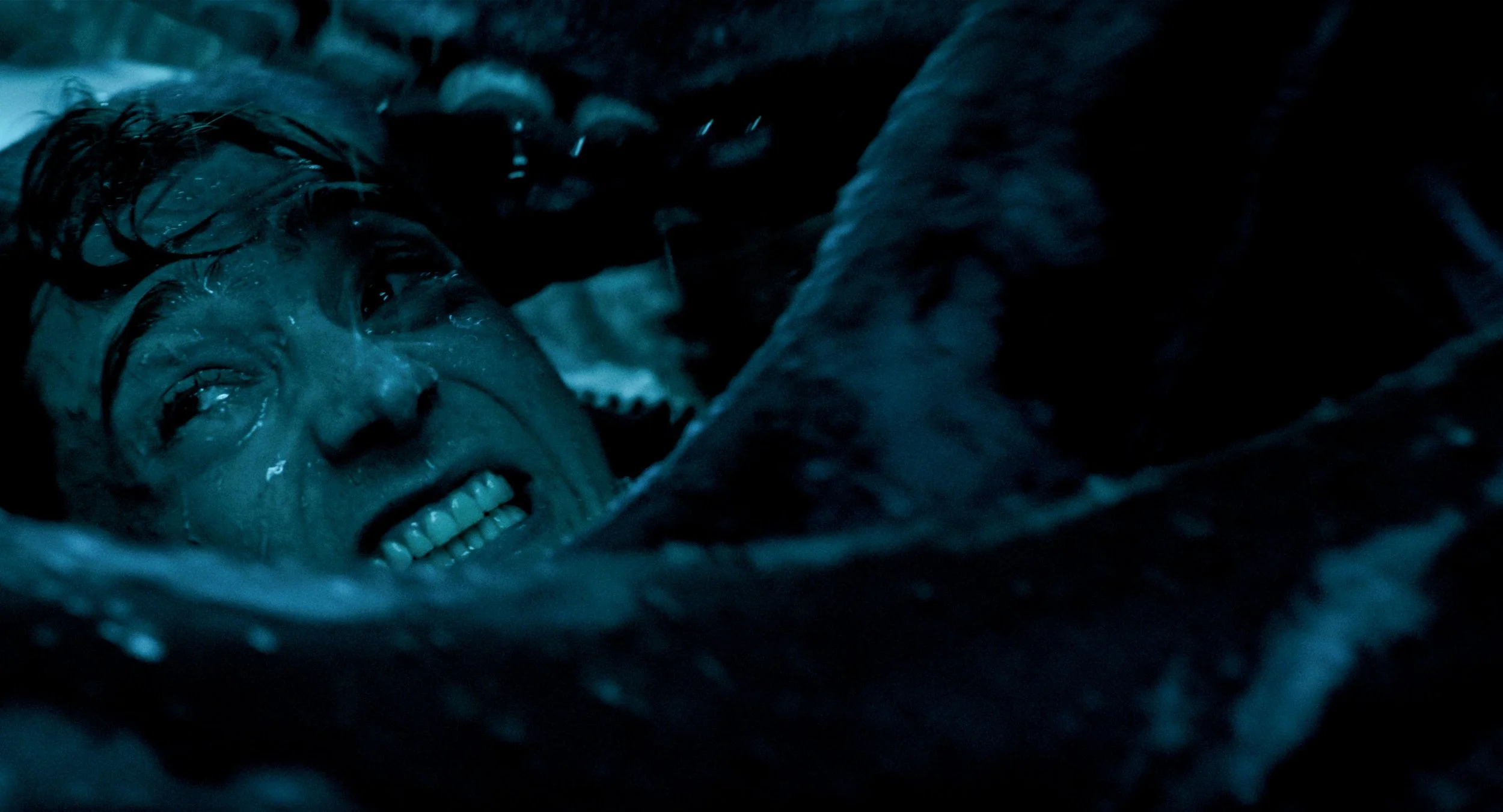 IR Film Review: WHALEFALL [20th Century Studios]