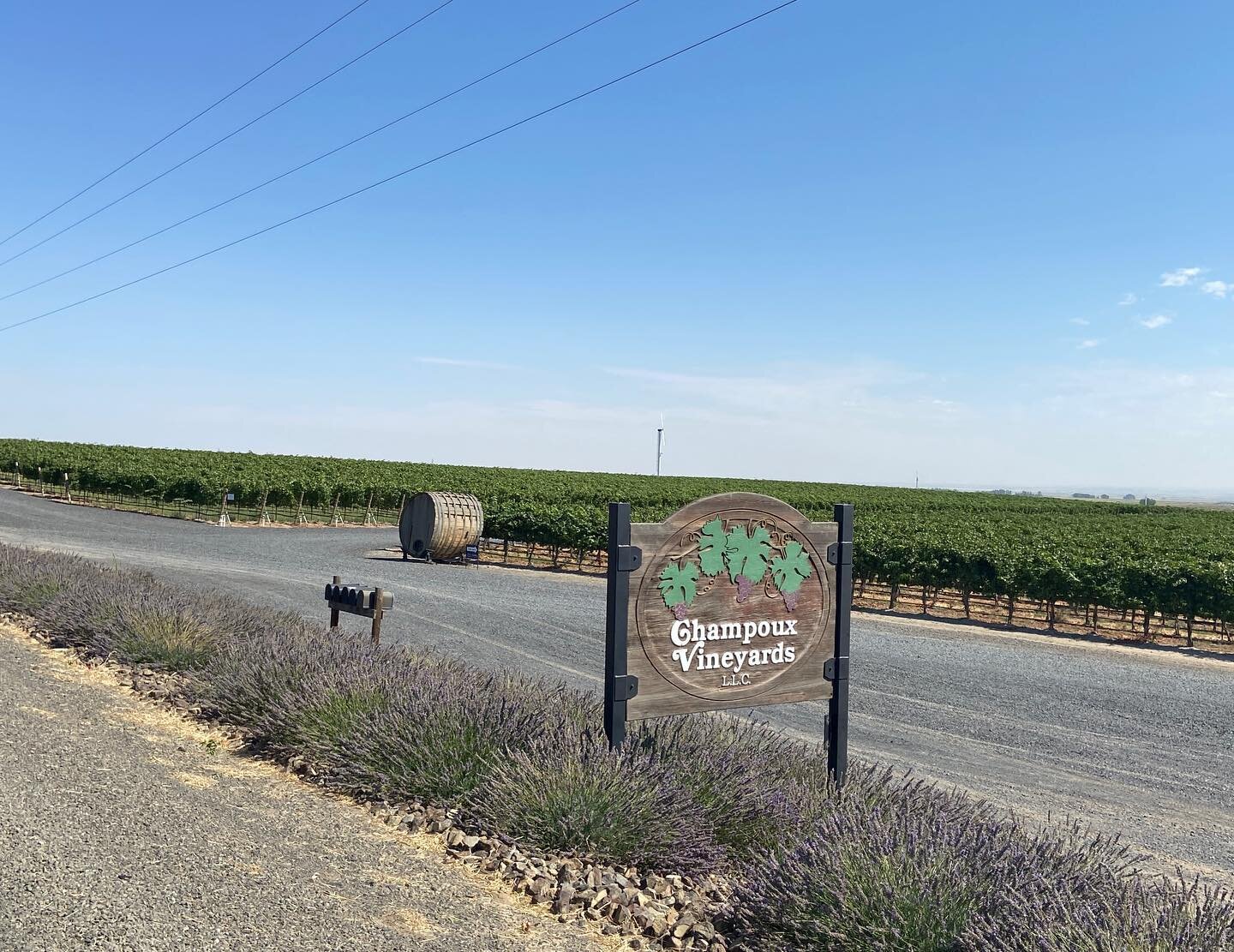 Just down the street from our new Merlot vineyard is Champoux Vineyards, considered one of the West Coast&rsquo;s &ldquo;grand cru&rdquo; (a site that consistently produces great wines) sites. This vineyard has produced seven 100 point wines since 20