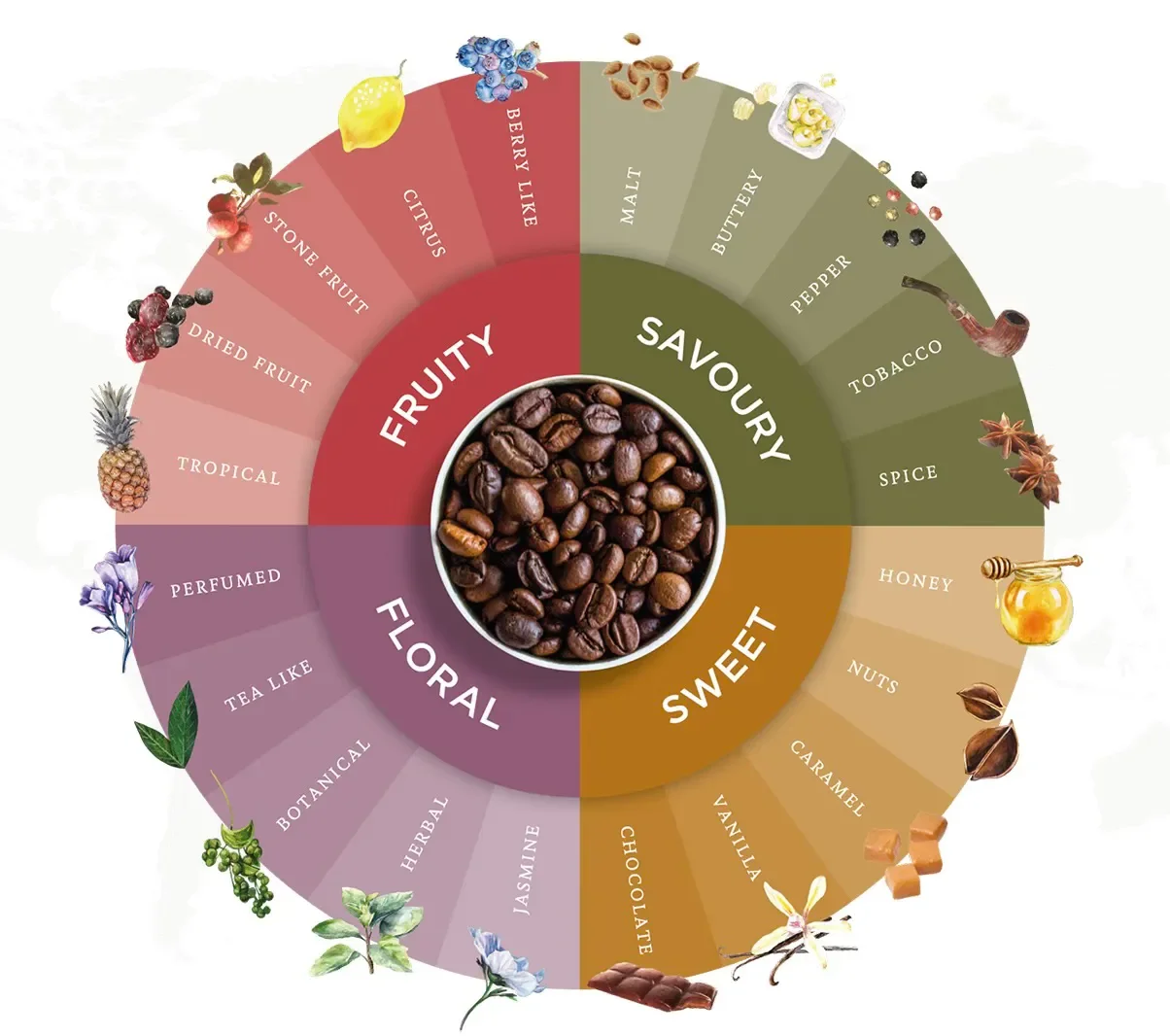 Paul Gregutt’s Rave Reviews of CC Wines