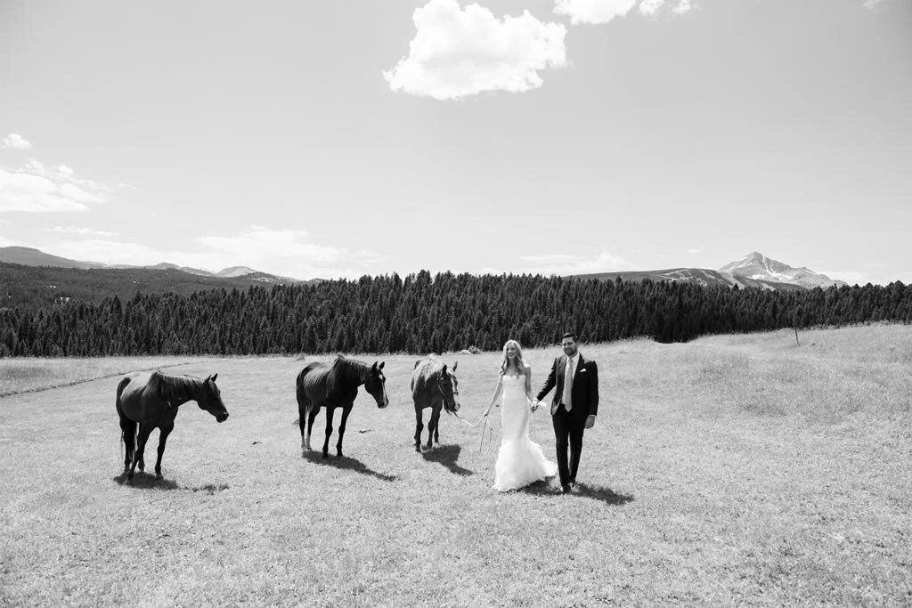 Our photographer&nbsp;Carly Jo Studio&nbsp;set up the most magical photo session with some horses at a nearby&nbsp;Ranch, it truly felt like an out of body experience, it was so beautiful!