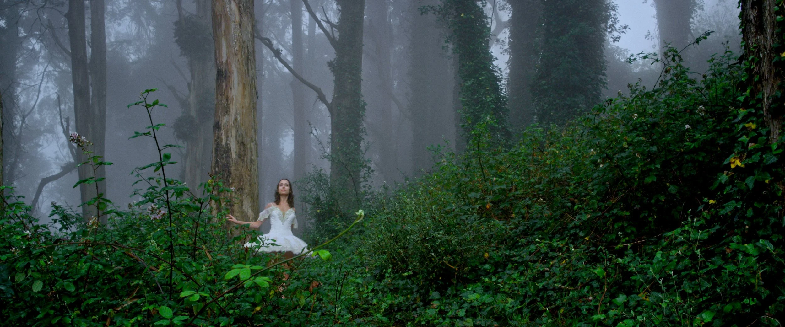 Restless // Short Film