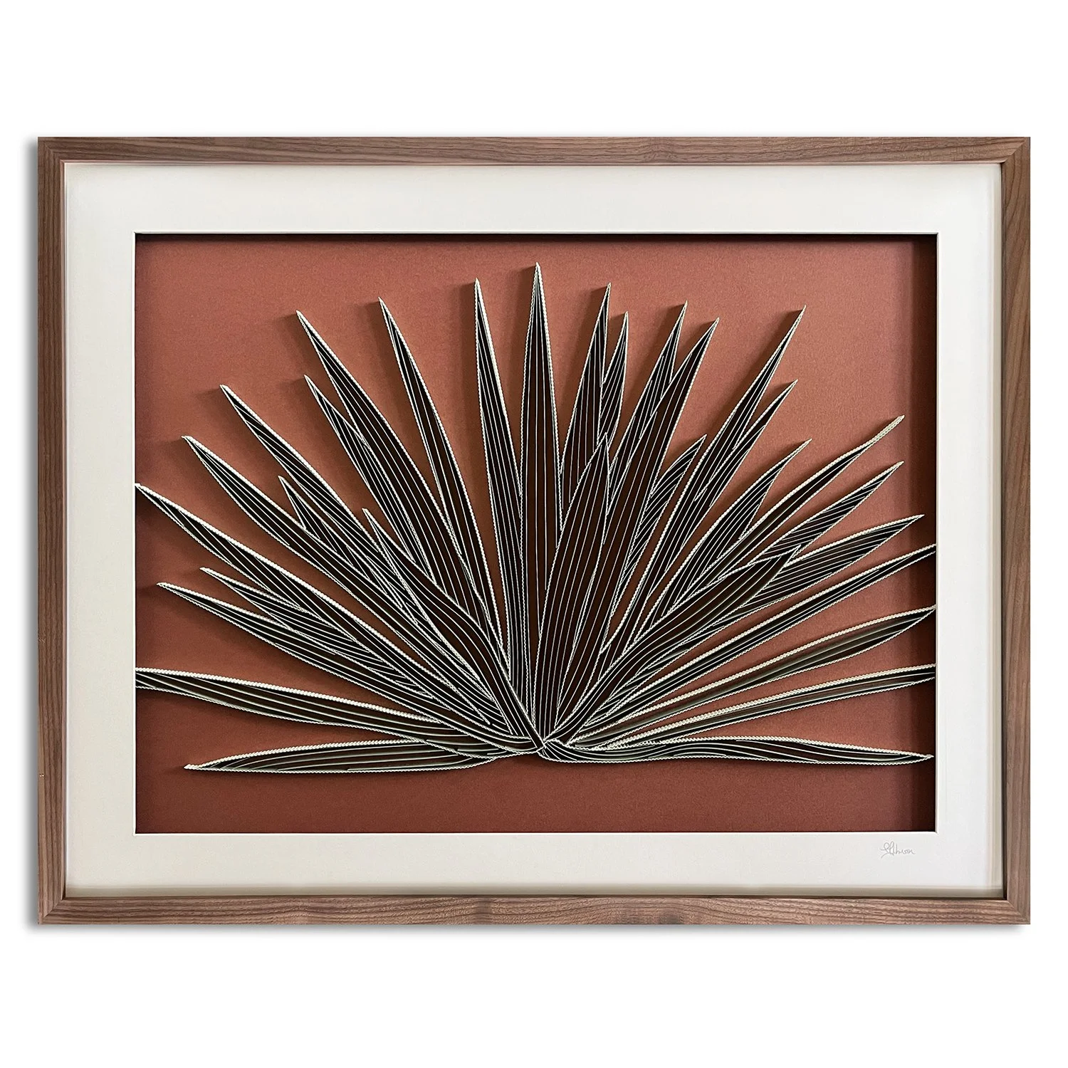 11. Succulent Study // 23" x 29" / DONATED