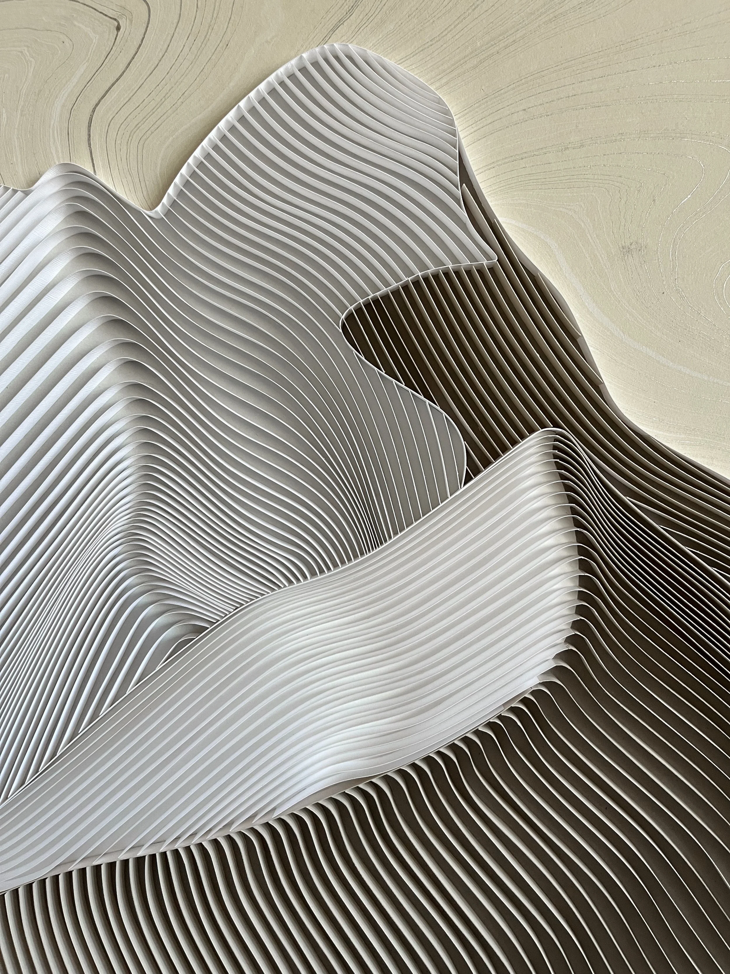 IMG_2999.jpeg (Copy)