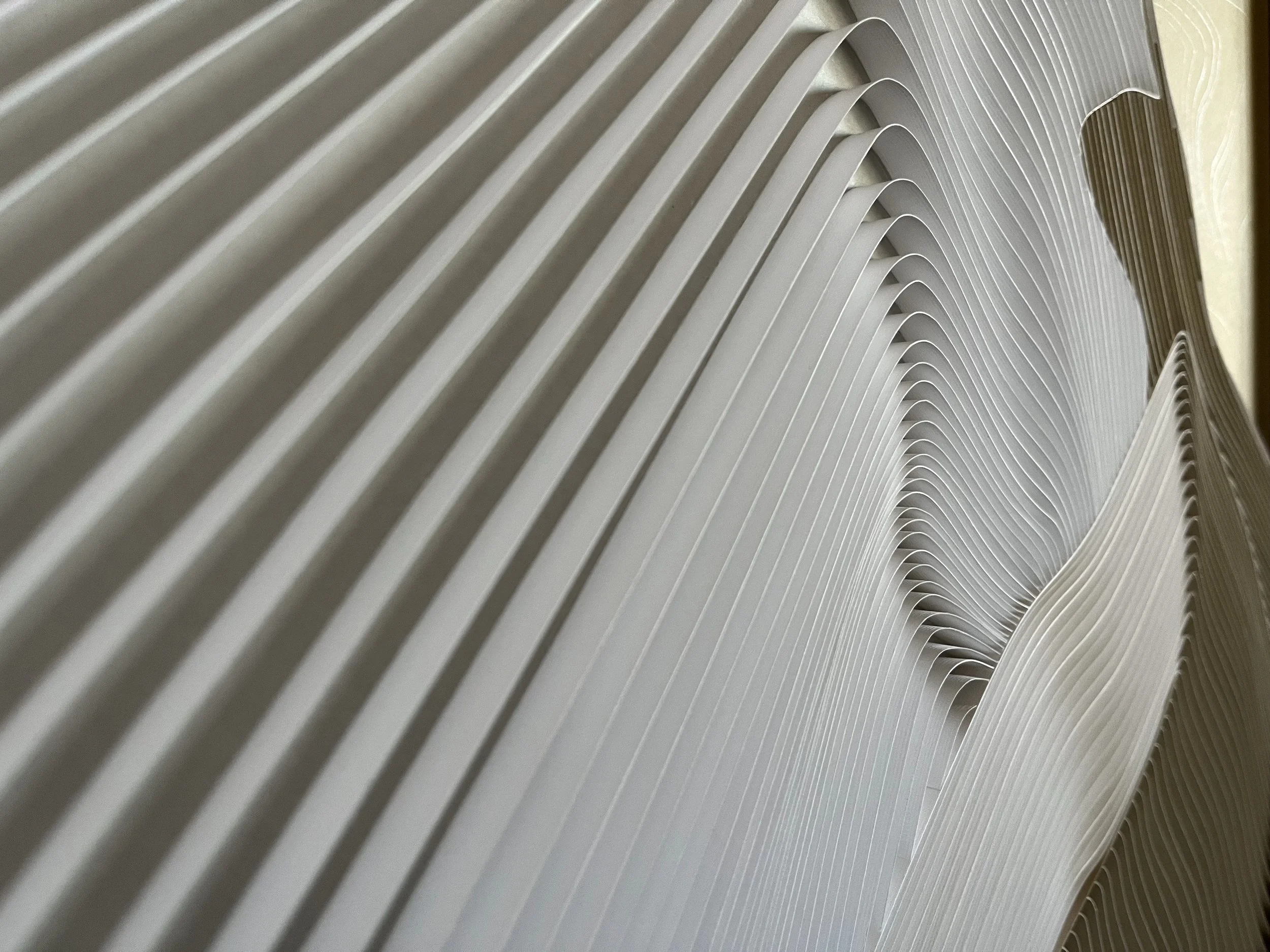 IMG_2998.jpeg (Copy)