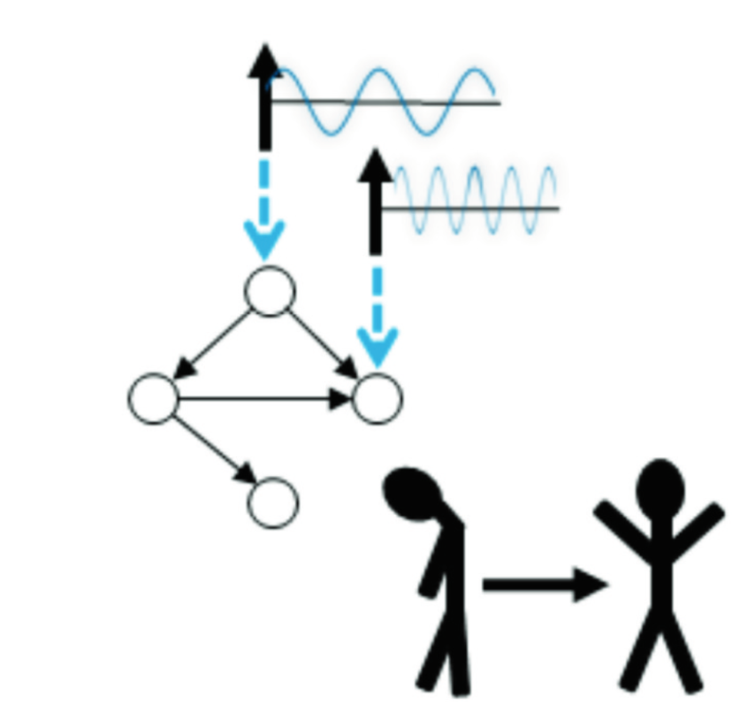 Screen Shot 2021-02-17 at 12.46.39 PM.png