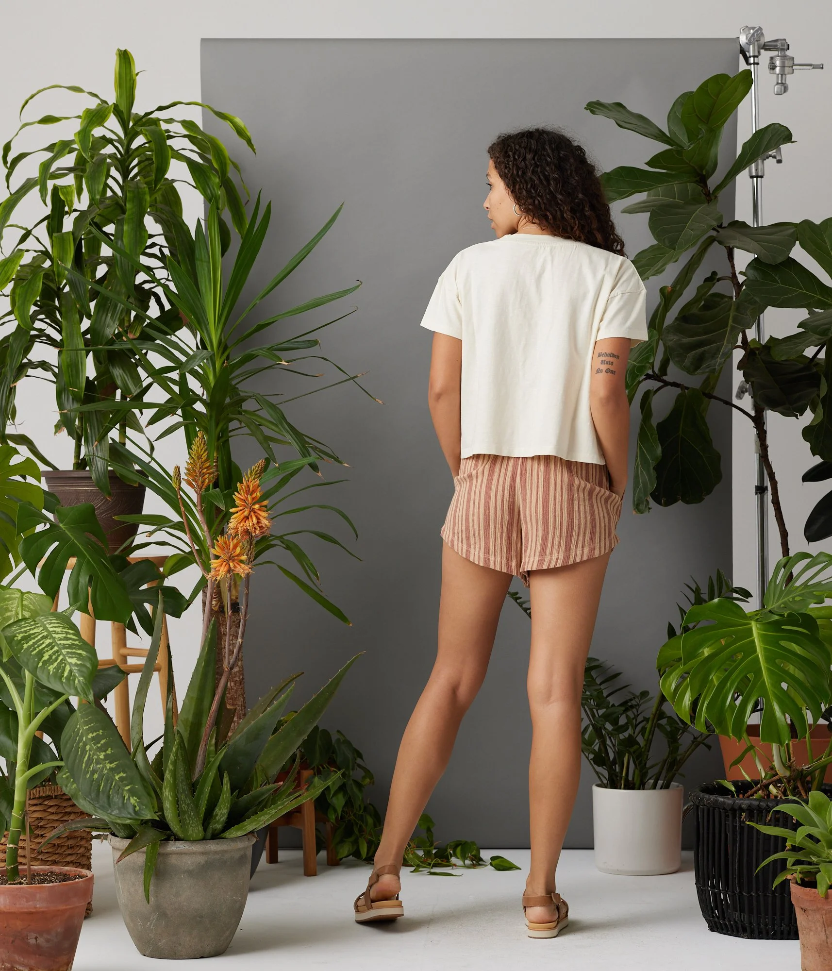 Known Supply 100% GOTs certified Organic cotton short sleeved Easy Crop Tee in the color stone