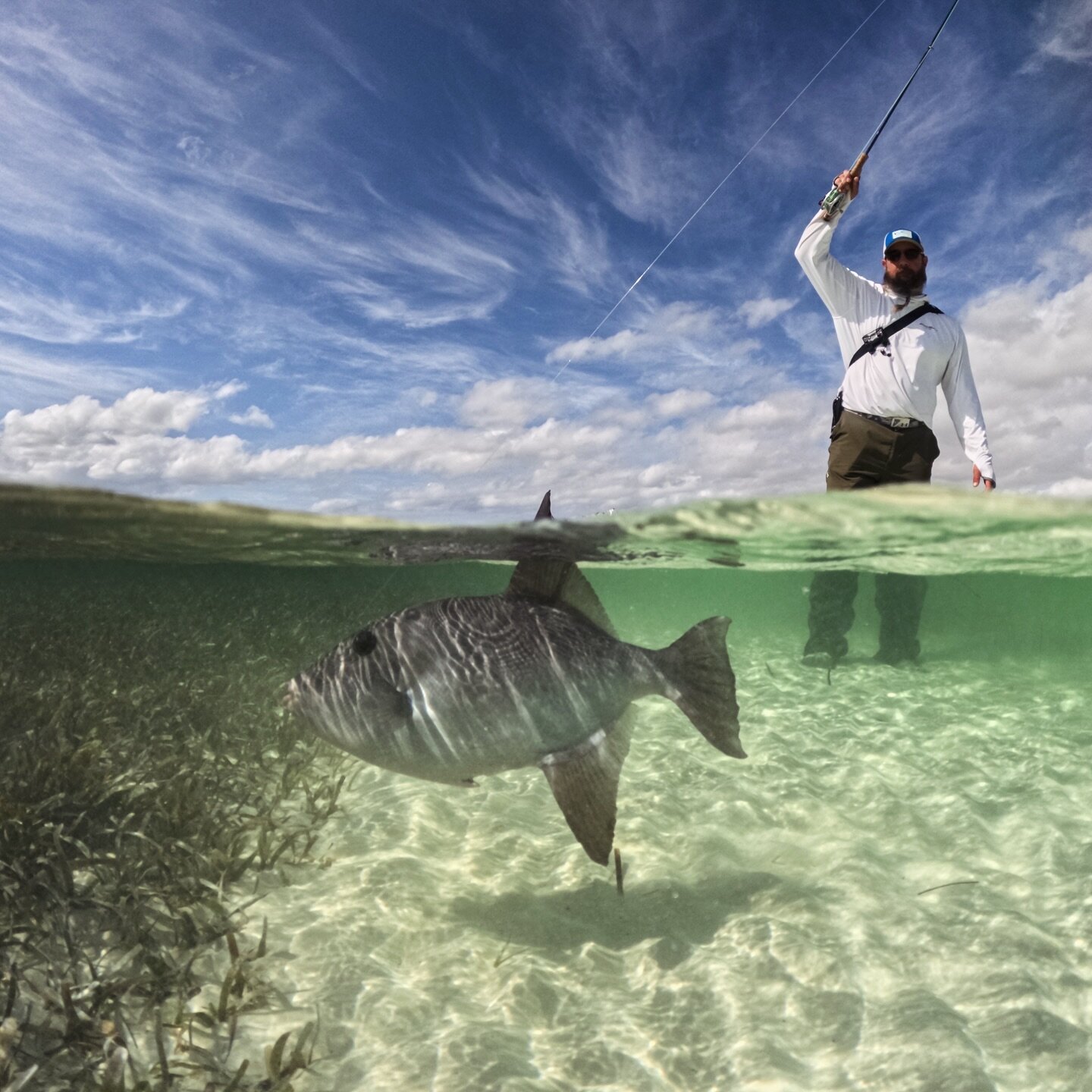 @ridgereaper23 was a little trigger happy on our last trip to the Bahamas 😂 

Some of the best days we have traveling are the days we target those &ldquo;other&rdquo; species. Keep on eye out for our upcoming hosted trips. 
📸: @sergiodiazfishing 

