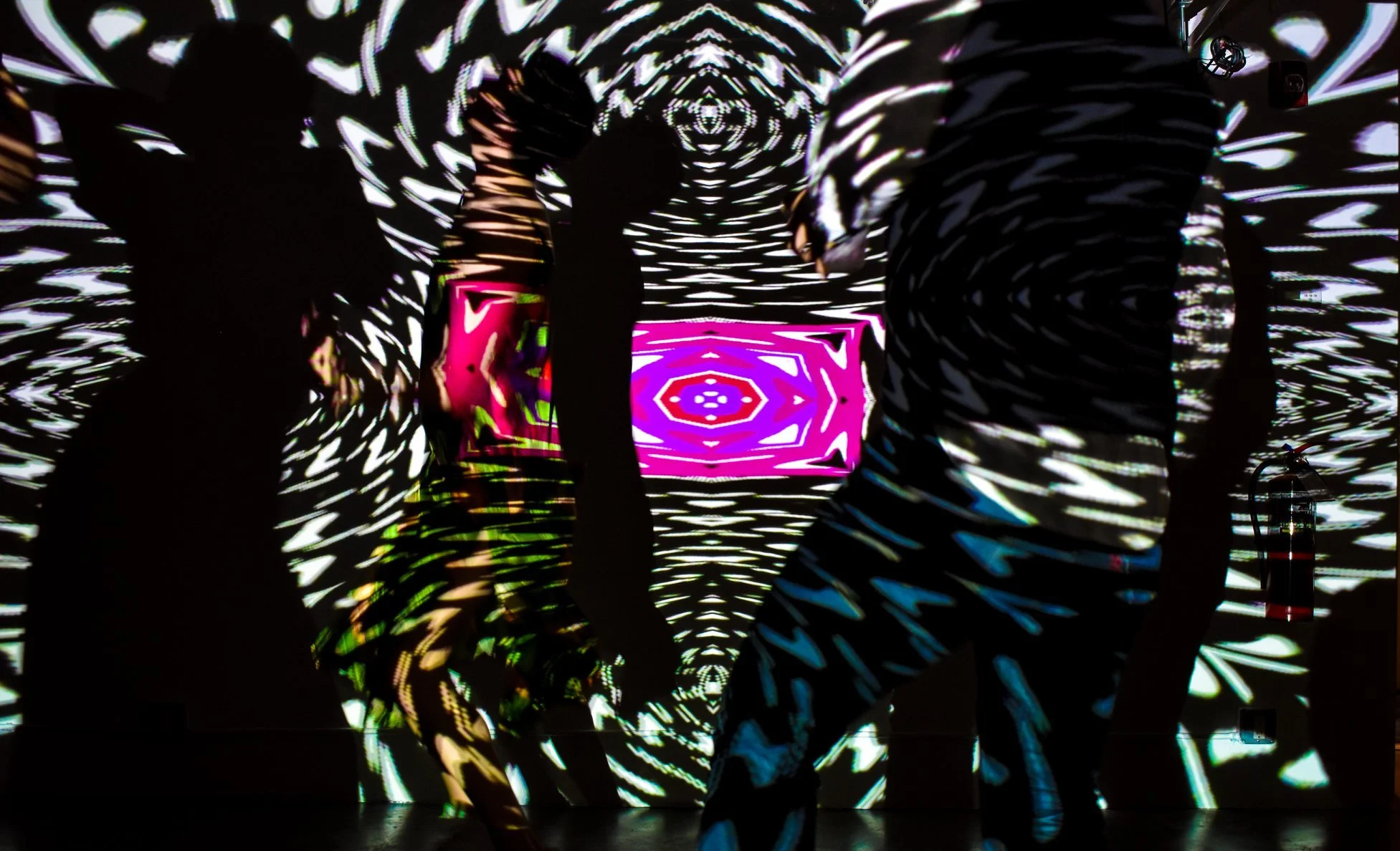 A R E A Gallery