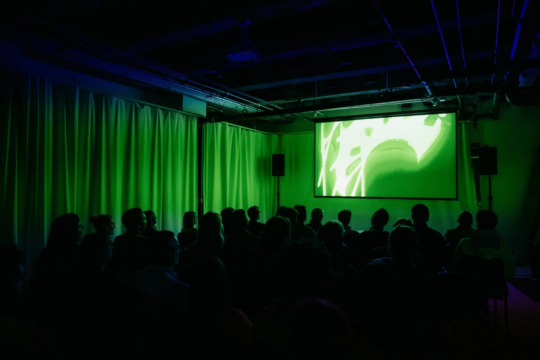 WaveForms 2024_Photo by Misha Barshteyn70.jpg