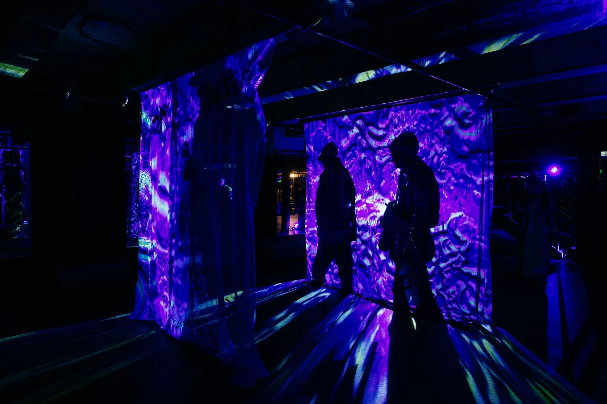 WaveForms 2024_Photo by Misha Barshteyn65.jpg