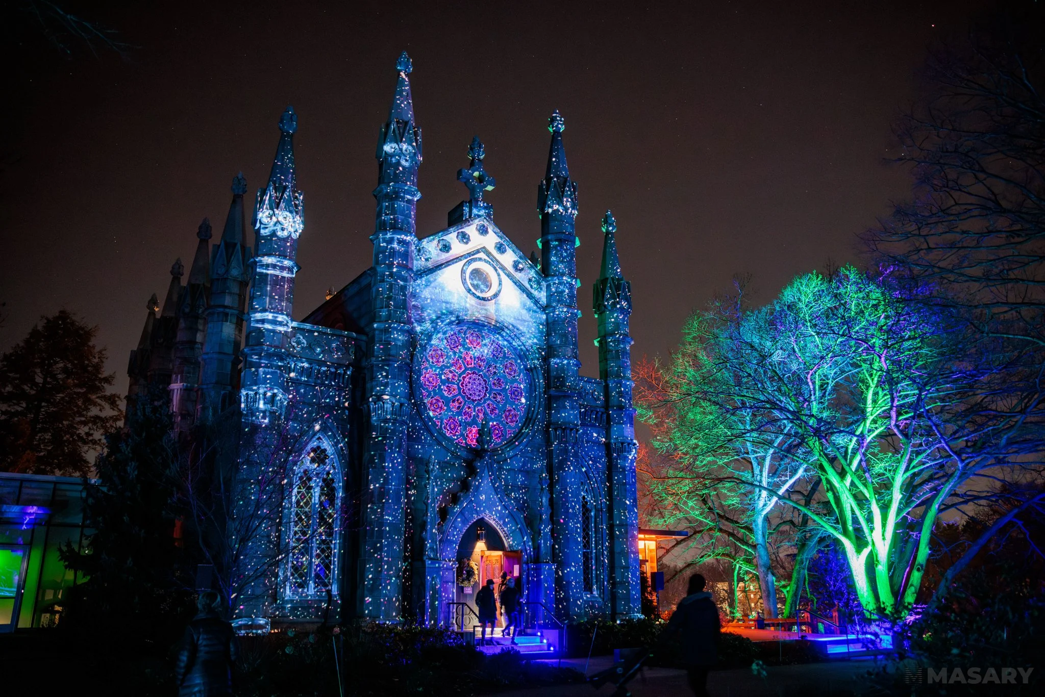 Solstice: Reflections on Winter Light, Mount Auburn Cemetery