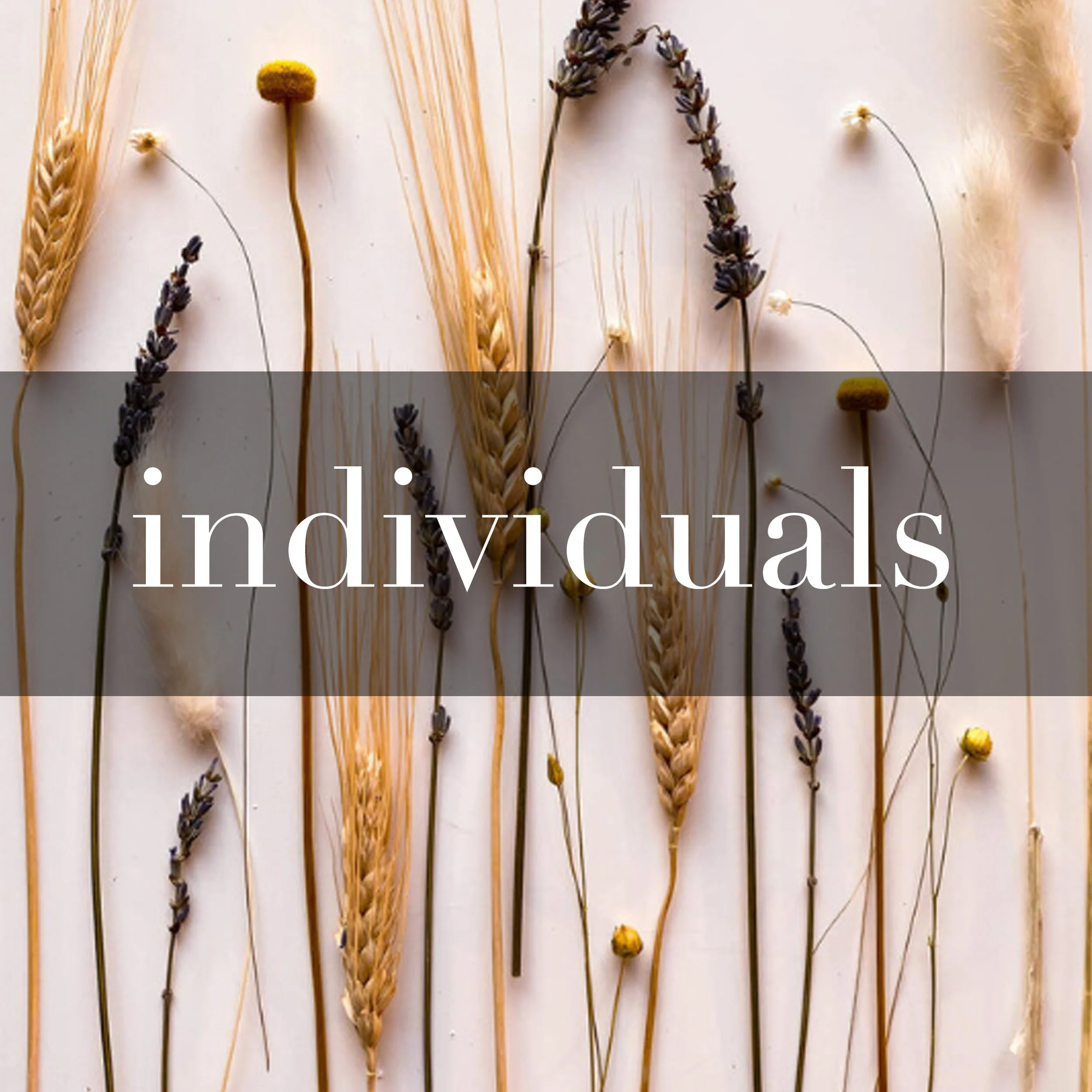 individuals.jpg