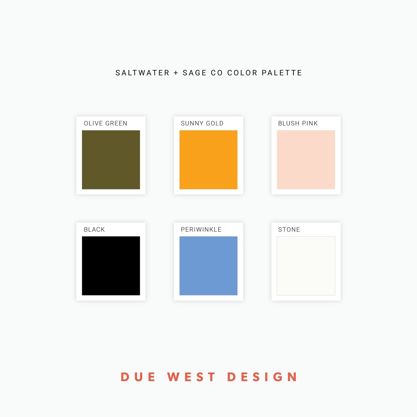 I'm so excited to start off the week by introducing the new color palette (and brand/packaging/web site!) for Saltwater + Sage Co 🎉! Colorado Springs-based earring designer Alex wanted a vibrant, nature-based brand that captured her love of the moun