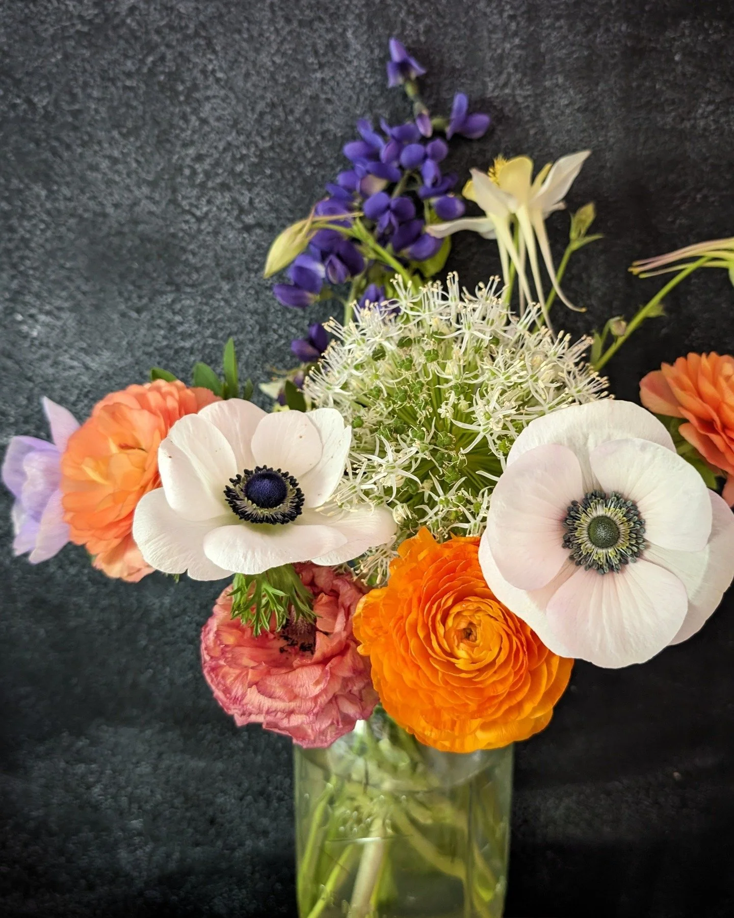 Dropping some more summer pretties on your timeline 💐😊

#homeoffice #localflowers #colorado #officepretties #smallbusiness #graphicdesign #colorinspo