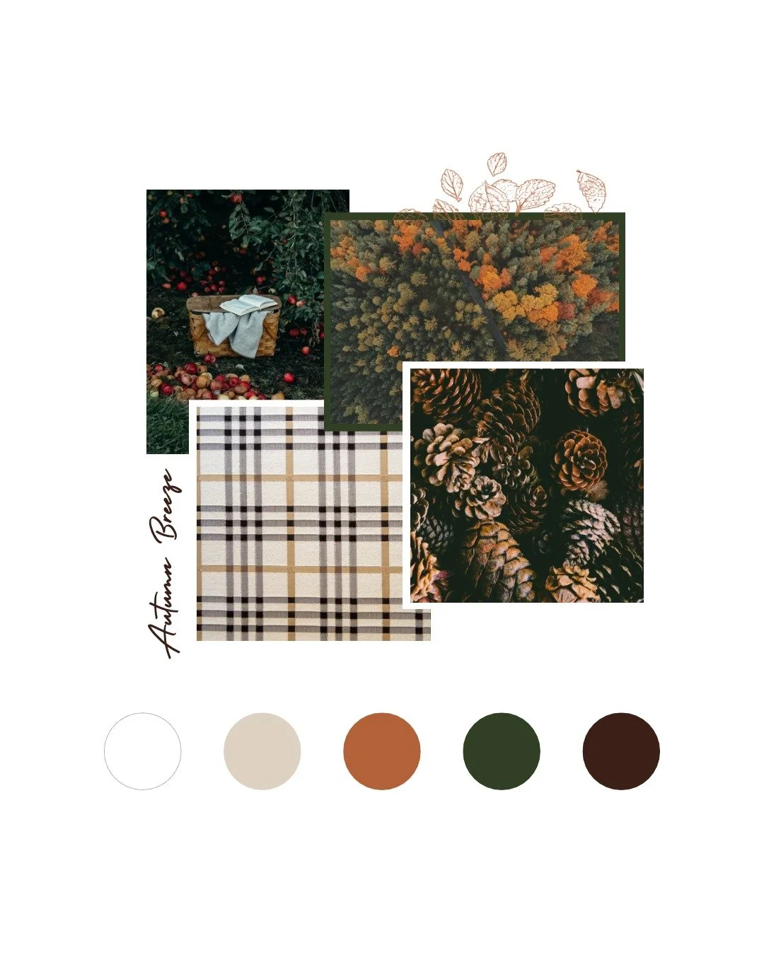 Okay so it's maybe not *quite* Fall yet, but the temps are in the 60s to 70s this week and I'm ready to break out all things pumpkin, apple, and cinnamon 🍂! Anyone else ready for a new season?

#moodboardmonday #colorado #mondaymoodboard #autumn #fa