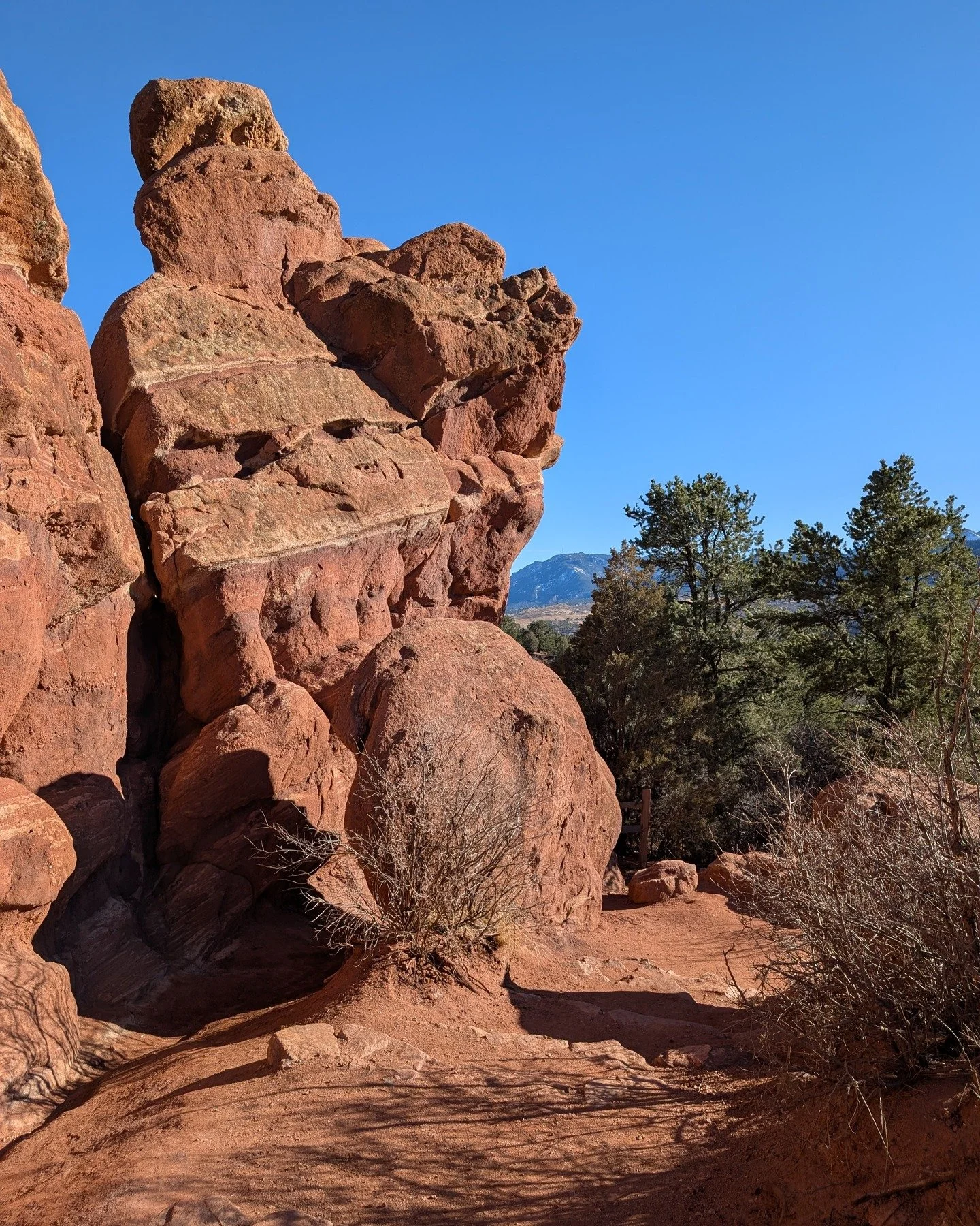 Did you know that our brains prefer organic, irregular, and curved shapes because they feel familiar, comfortable, and evoke a sense of safety 🧠? I've heard several variations of this concept recently and it really clicked during an afternoon walk a