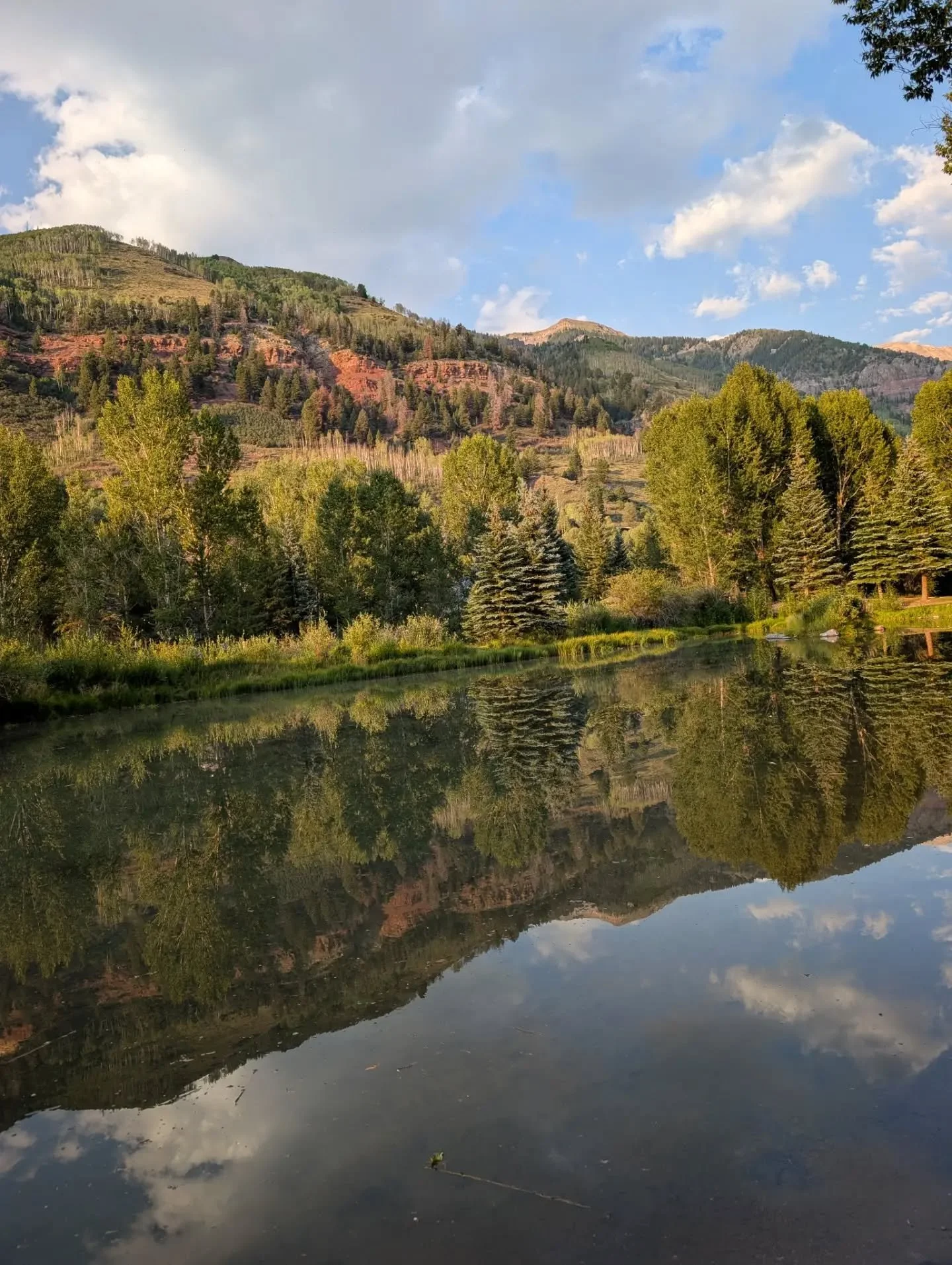 Not a bad way to kick off the weekend ⛰️😍✨

#telluride #colorado #getoutside #vacay