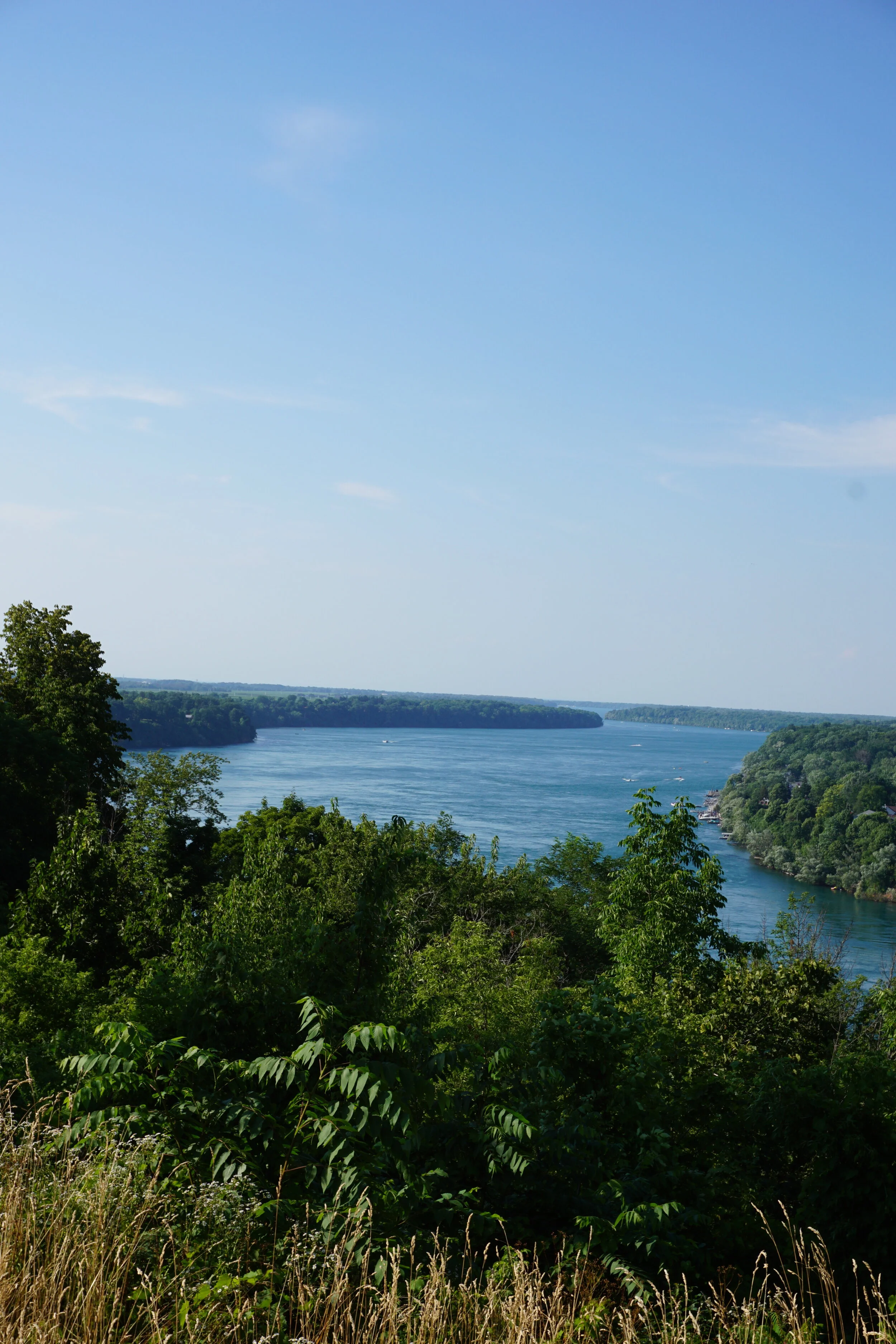 DSC01350.JPG