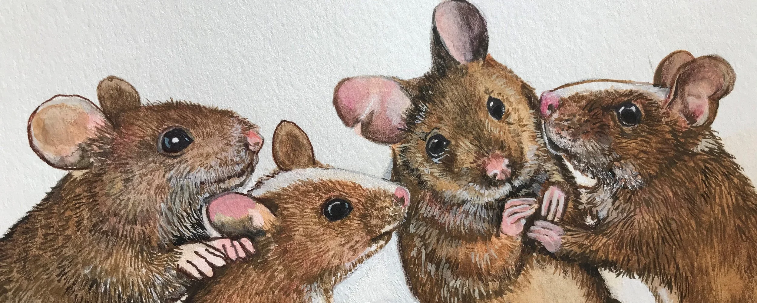 mice chattering