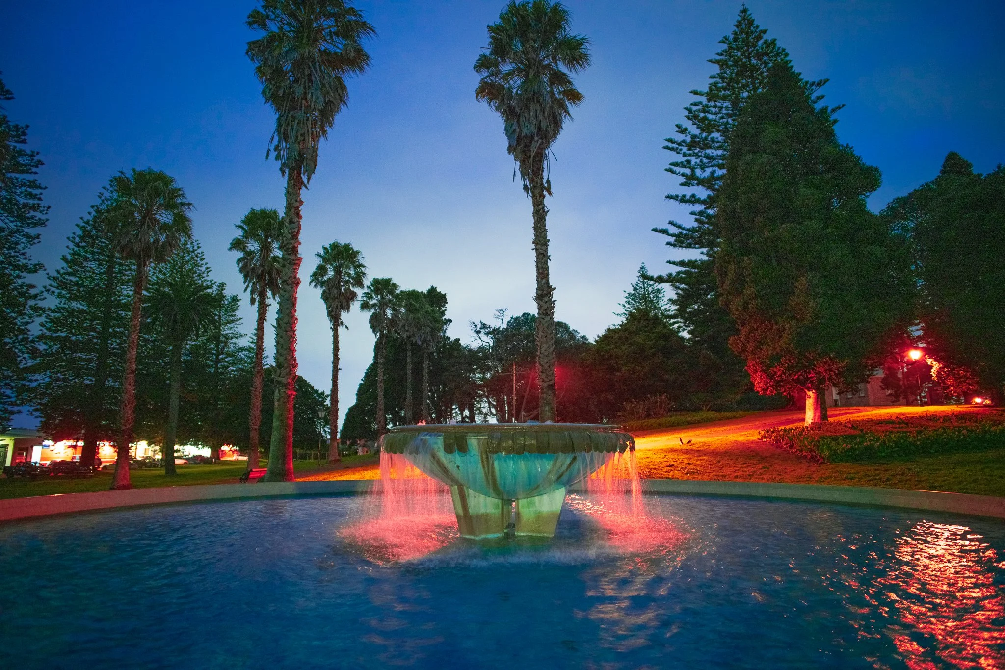 Jellicoe Park_v2.jpg