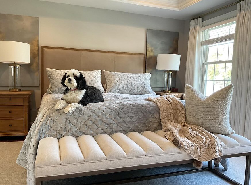 A true sanctuary! Presenting the latest primary bedroom makeover. The Elements Interior Design Studio team is unstoppable.

🐶 is not a paid actor. 😉

@orchidsamerica
@lucia_fina_artist
@arhaus

#homedesign #homedecor #interiordesign #njinteriordesi