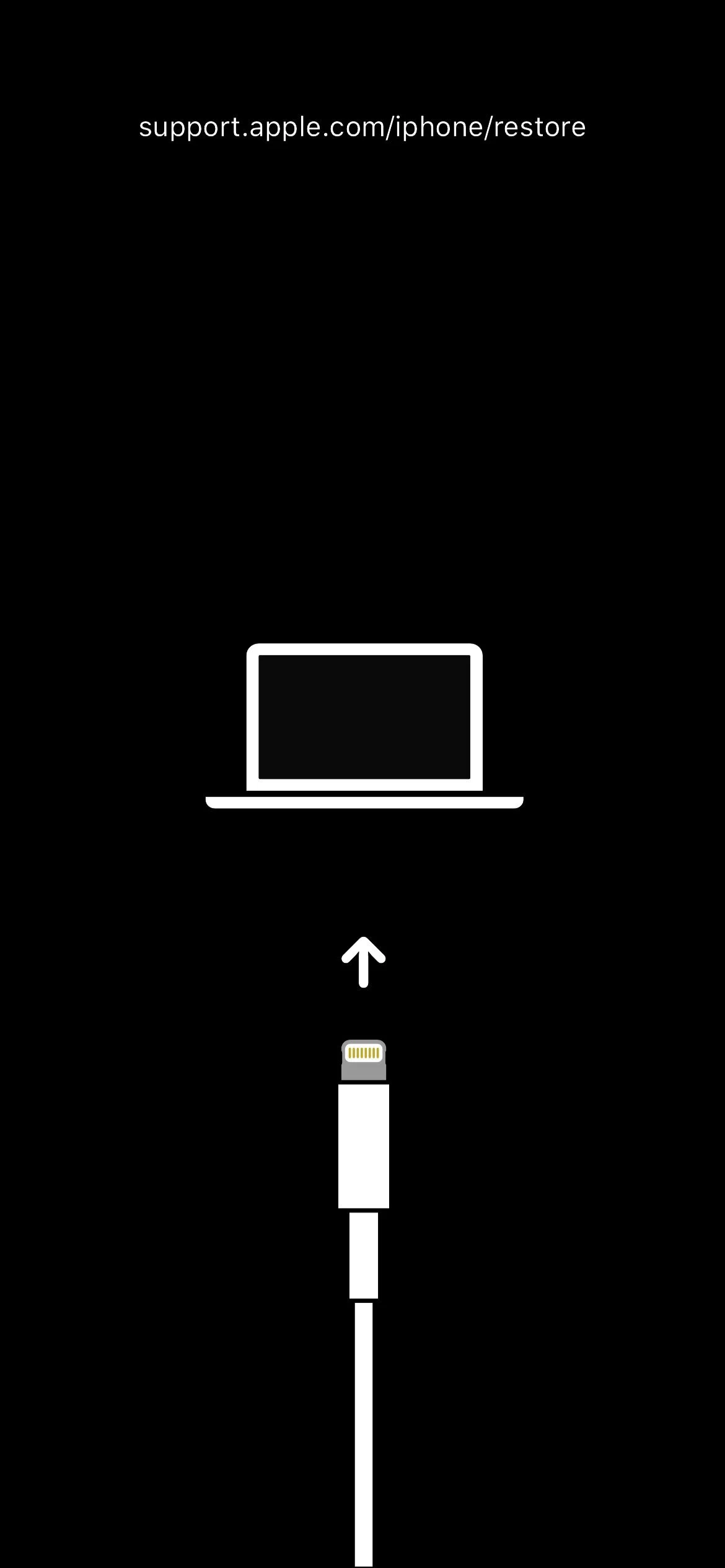 iOS 15 Startup Screens — Martin Nobel