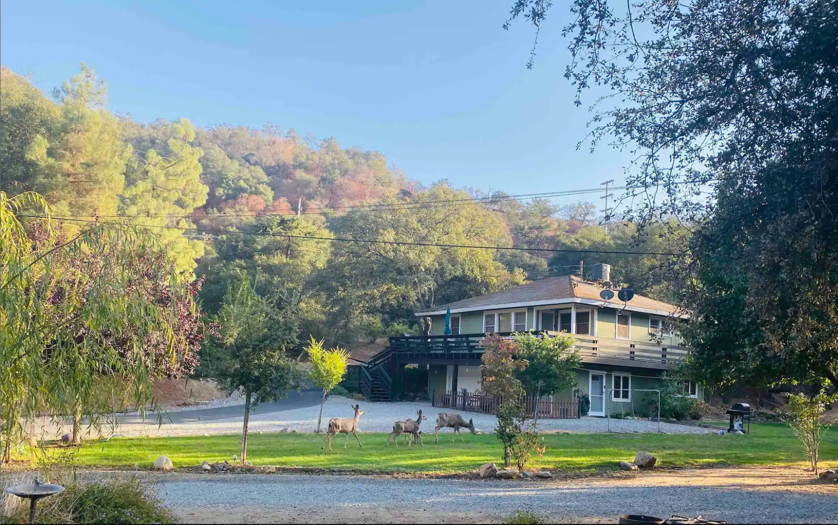 River Front Rental - Top View 01.PNG