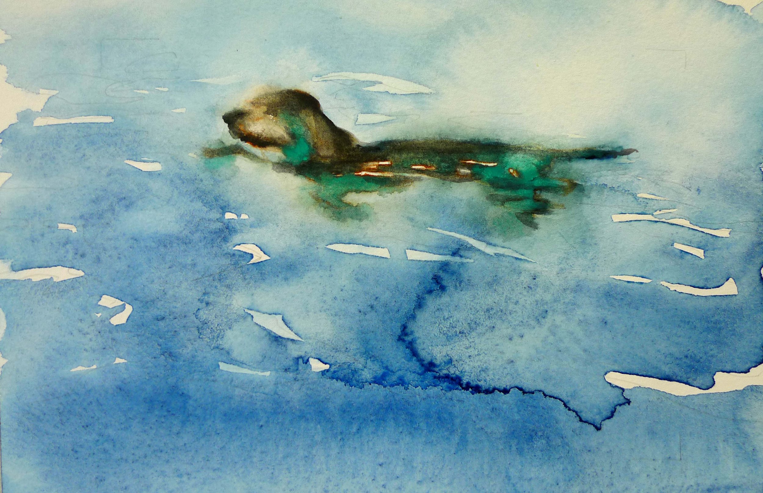 swimmingdog.jpg