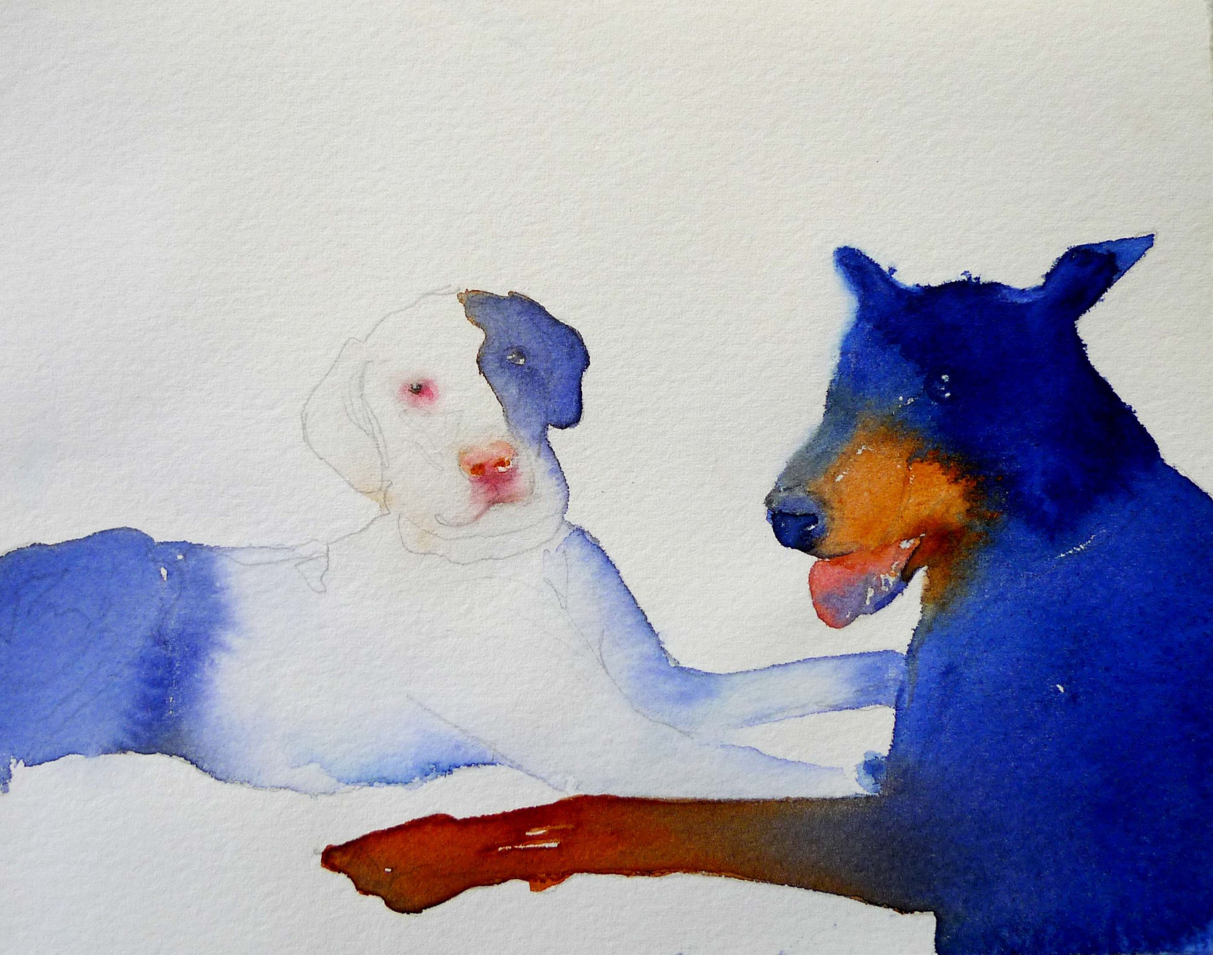juliet's dogs.jpg