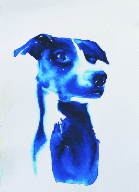 elle blue dog copy.jpeg