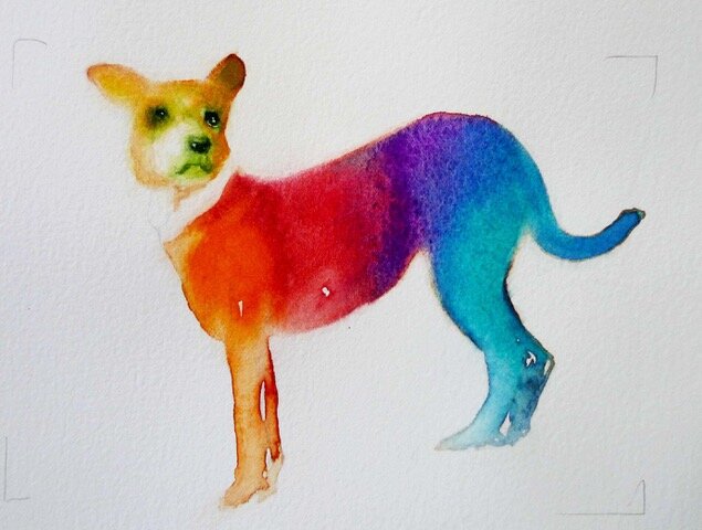rainbowdog print.jpeg