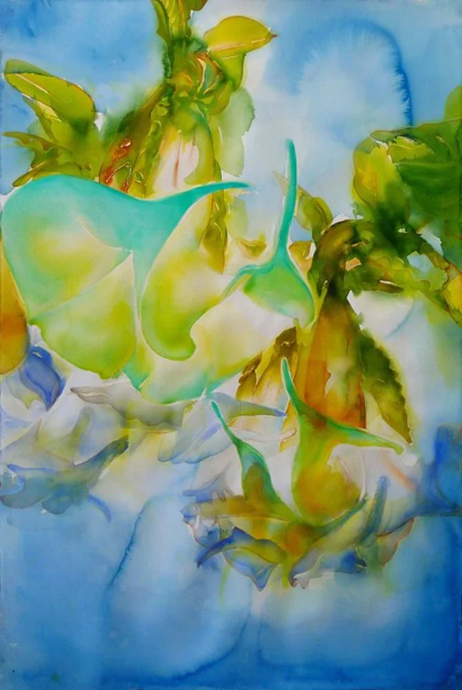 Shop — Carol Carter