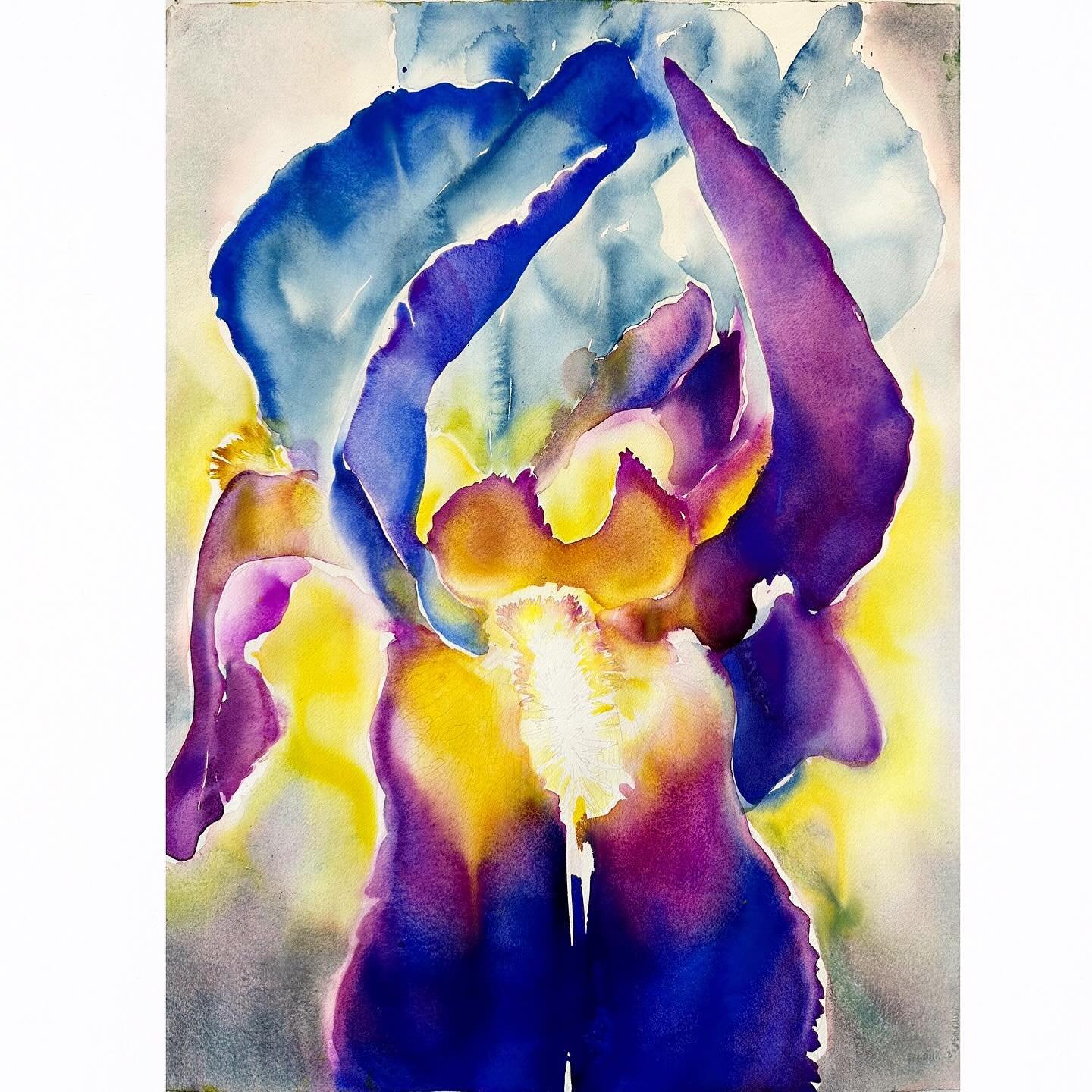 ir&middot;ra&middot;di&middot;ance

Irradiance
watercolor
30 x 22&rdquo;
2024

I am taking some time to get acquainted with new watercolor papers and pigments to see what I like.

I am always interested in keeping things fresh in studio&mdash; so new