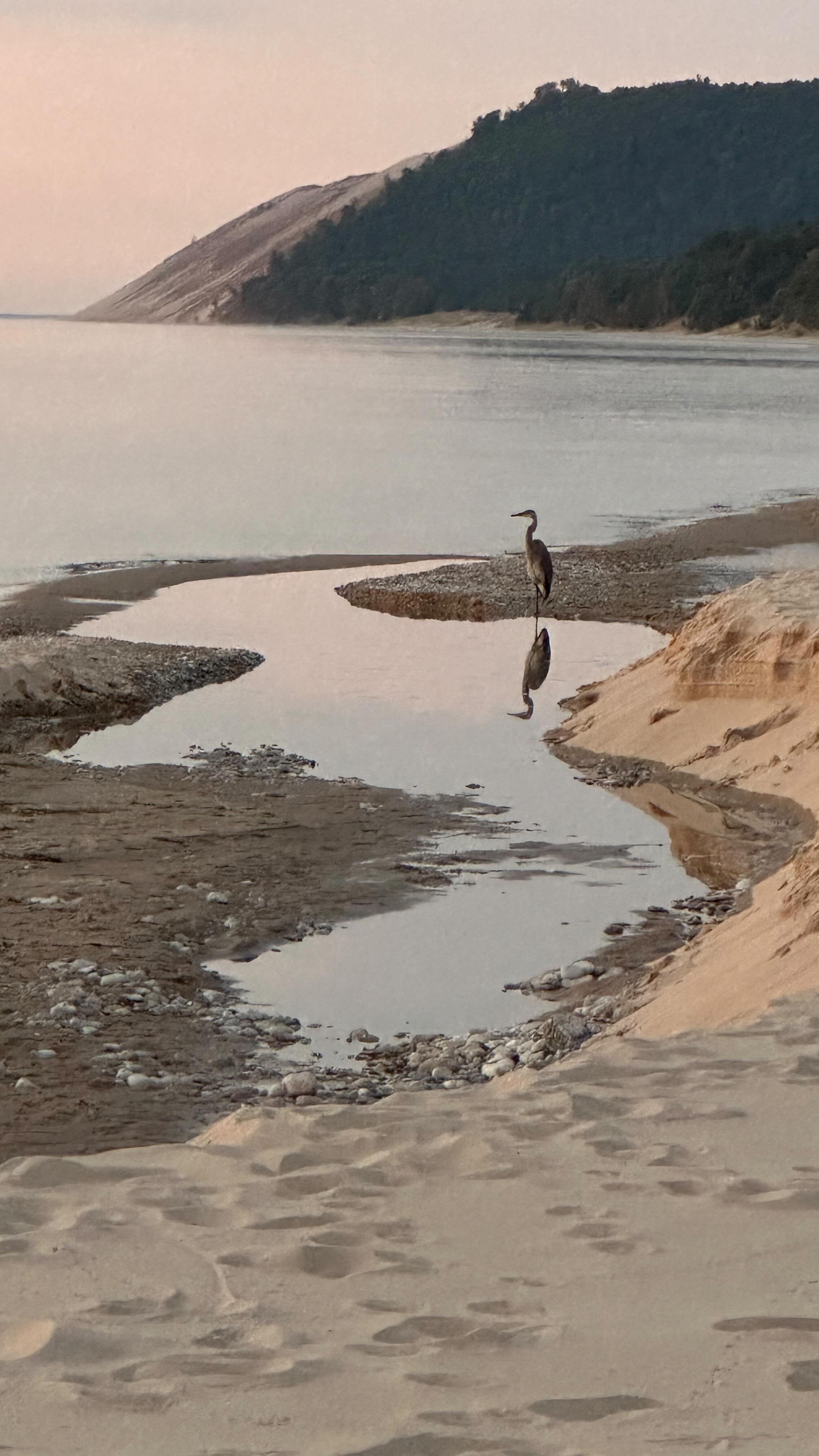 Black and White Nudes — Carol Carter