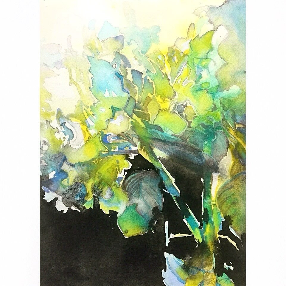 WORKSHOP IN FLORIDA 🍊

January 27 - 29, 2024

The Villages

Come to sunny, warm Florida and paint ☀️

🔗link in bio
.
.
.
#artworkshop#workshop#americanwomenartists #womenartists#learntopaint#watercolorrocks#stlart#stlartist#floridaart#thevillages#t