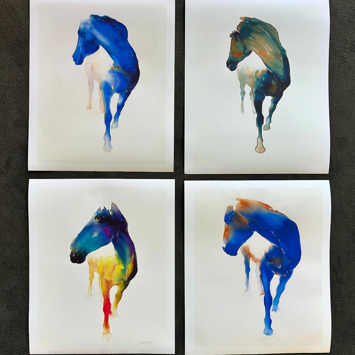 All these prints on Etsy
.
.
.
#horse#equine#equine watercolor#equinepeints#horseprints#horsewatercolors#americanwomenartists#carolcarter