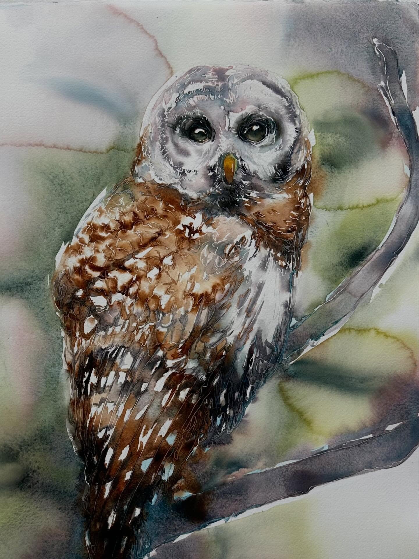 As the year softens toward its close, I&rsquo;ve been looking back&mdash;listening to what this past year asked of me.

Working through a series about climate change carried both weight and wonder. Absorbing the science, the data, the urgency&mdash;a