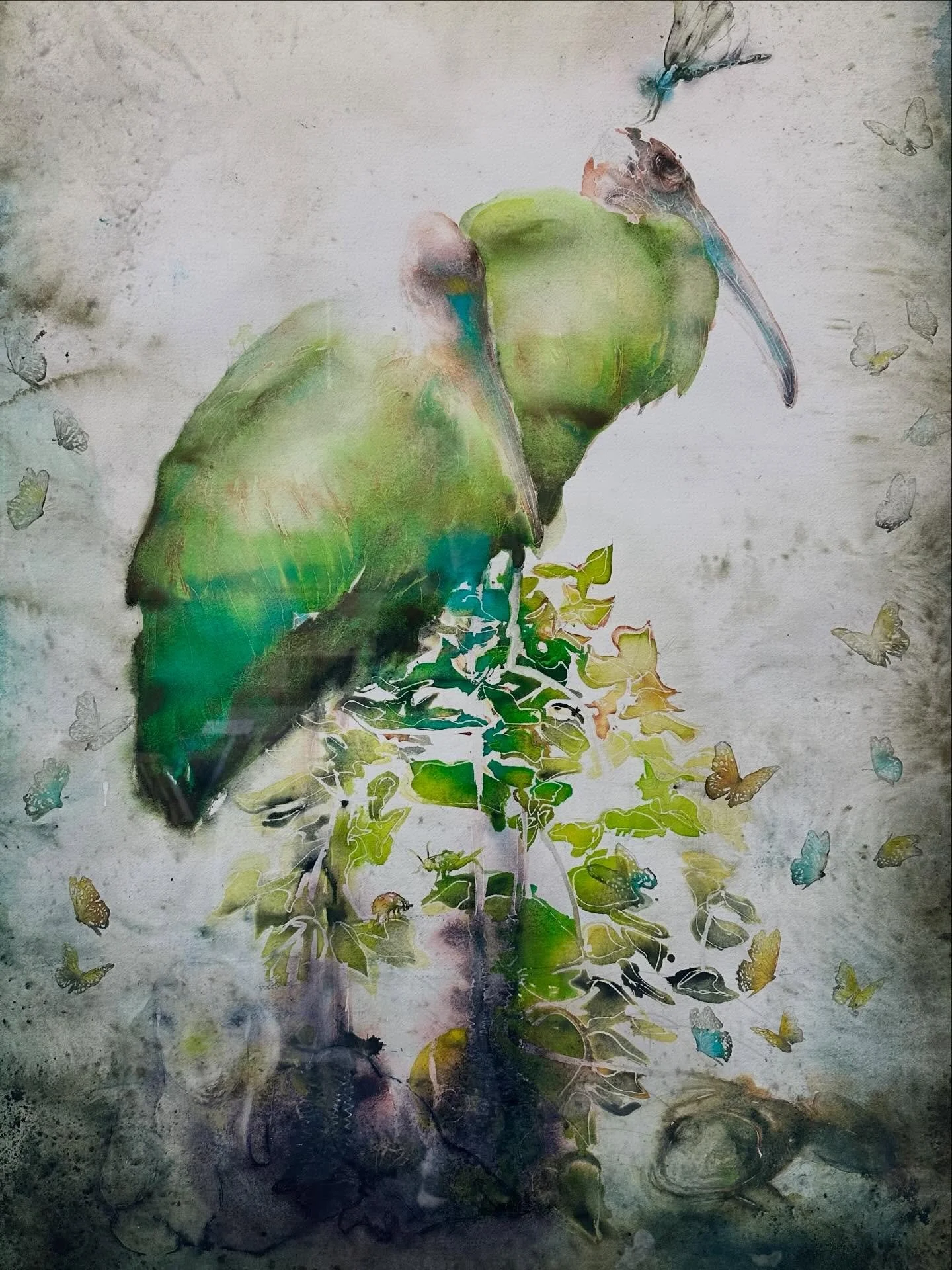 Opening 
Saturday
February 14

Softwater Gallery @softwatergalleryfl 
St . Petersburg, FL
.

🦩
.

.

#watercolor#stpetersburgfl #@softwatergallery#softwatergallery#carolcarter