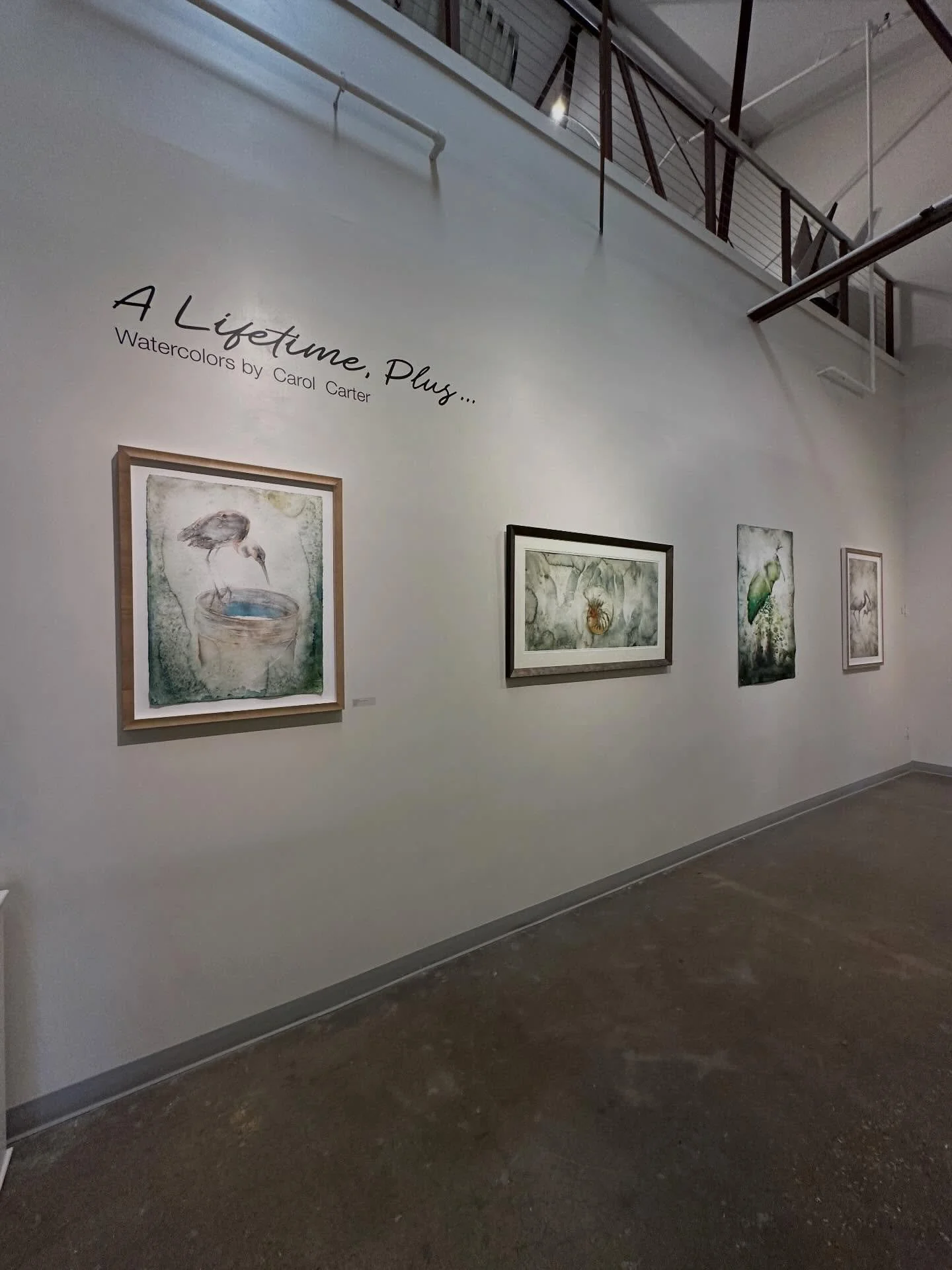 Opening

A Lifetime Plus&hellip;

Watercolors

@softwatergalleryfl 

St Petersburg,FL

February 14 - March 8, 2026
.
.
.
#watercolor#americanwomenartistssignaturemembers #floridaart#stpetersburgart#carolcarter